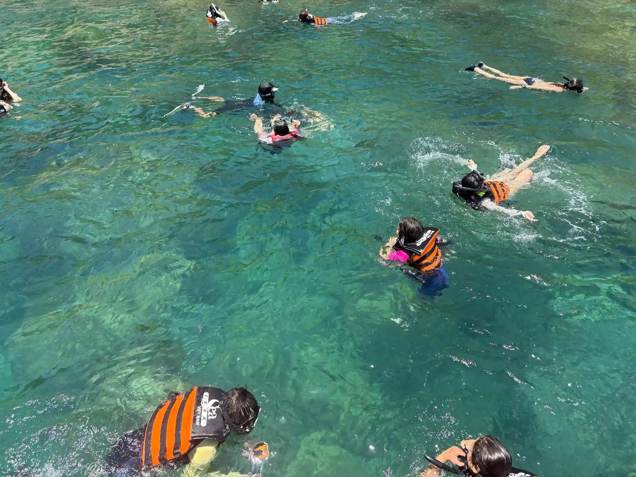 Hoi An to Cham Island scuba diving: My first-time review 10 Cham Island Snorkeling activities Vietadvisor