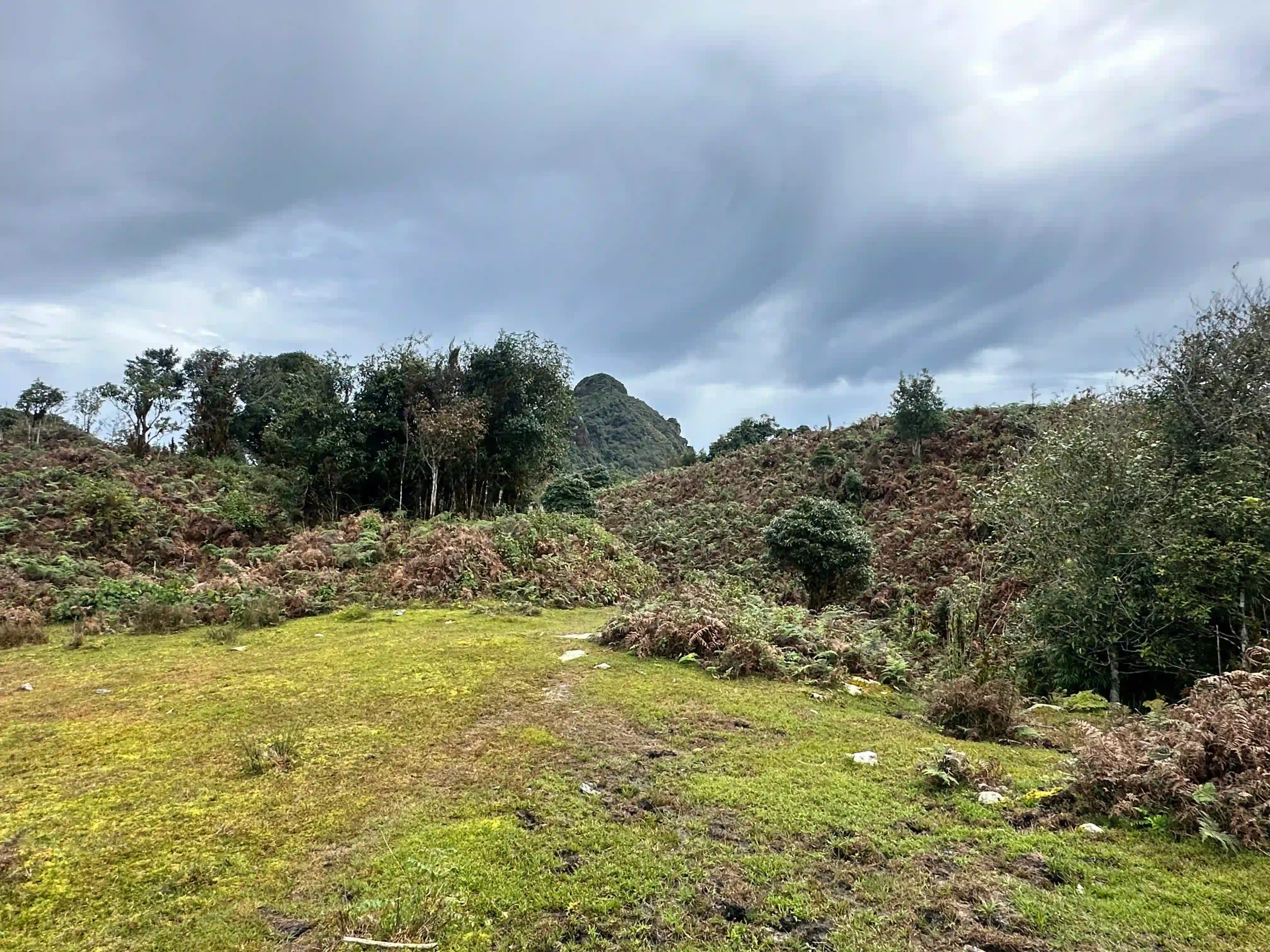 Hoang Su Phi trekking guide: My firsthand experience (2026) 45 Chieu Lau Thi Is a Separate Trip 2 scaled Vietadvisor