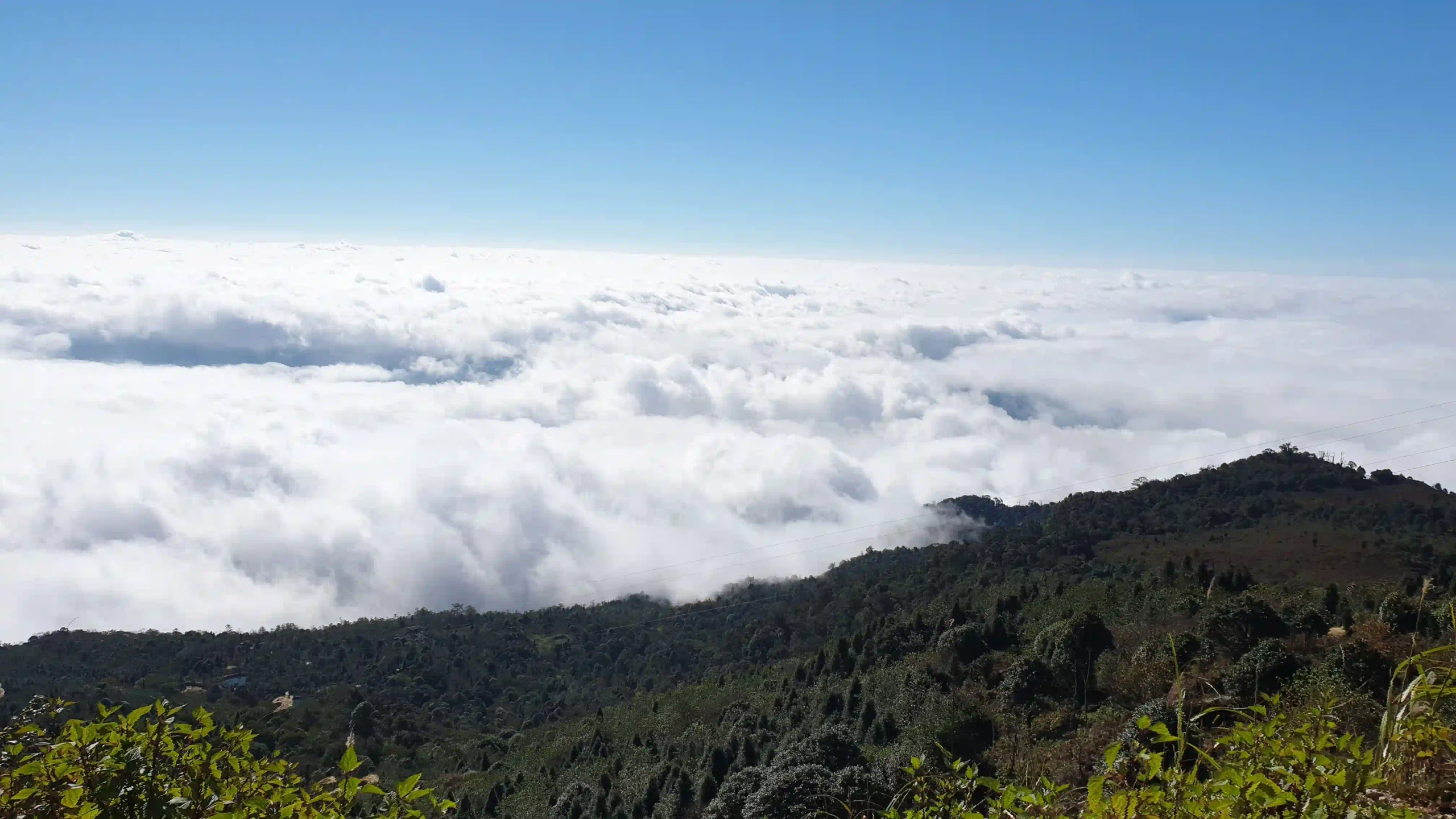Hoang Su Phi trekking guide: My firsthand experience (2026) 44 Chieu Lau Thi Is a Separate Trip 5 scaled Vietadvisor