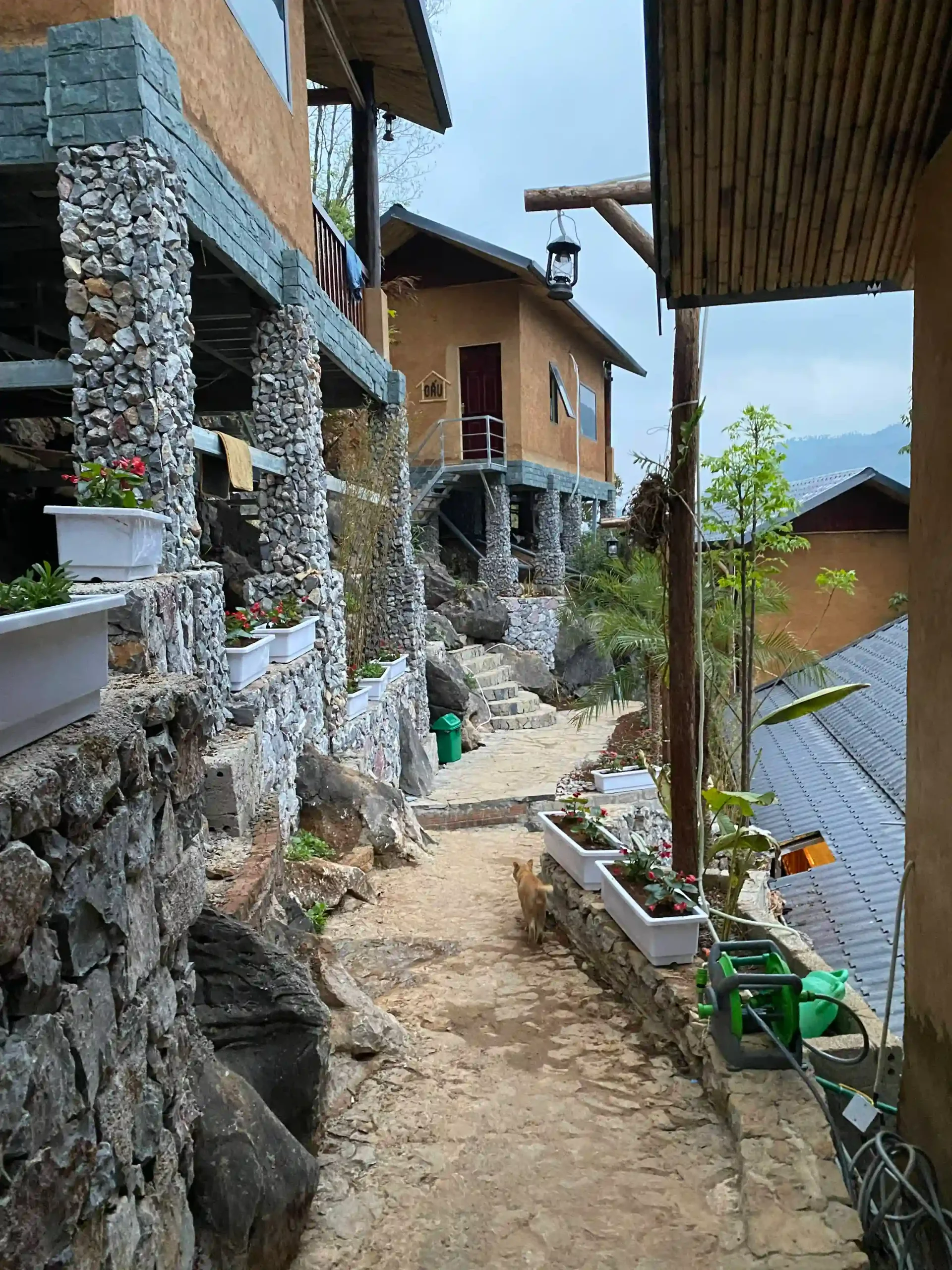 Where to stay in Dong Van, Ha Giang: 5 homestays you'll love 19 Dong Van Cliffside House scaled Vietadvisor