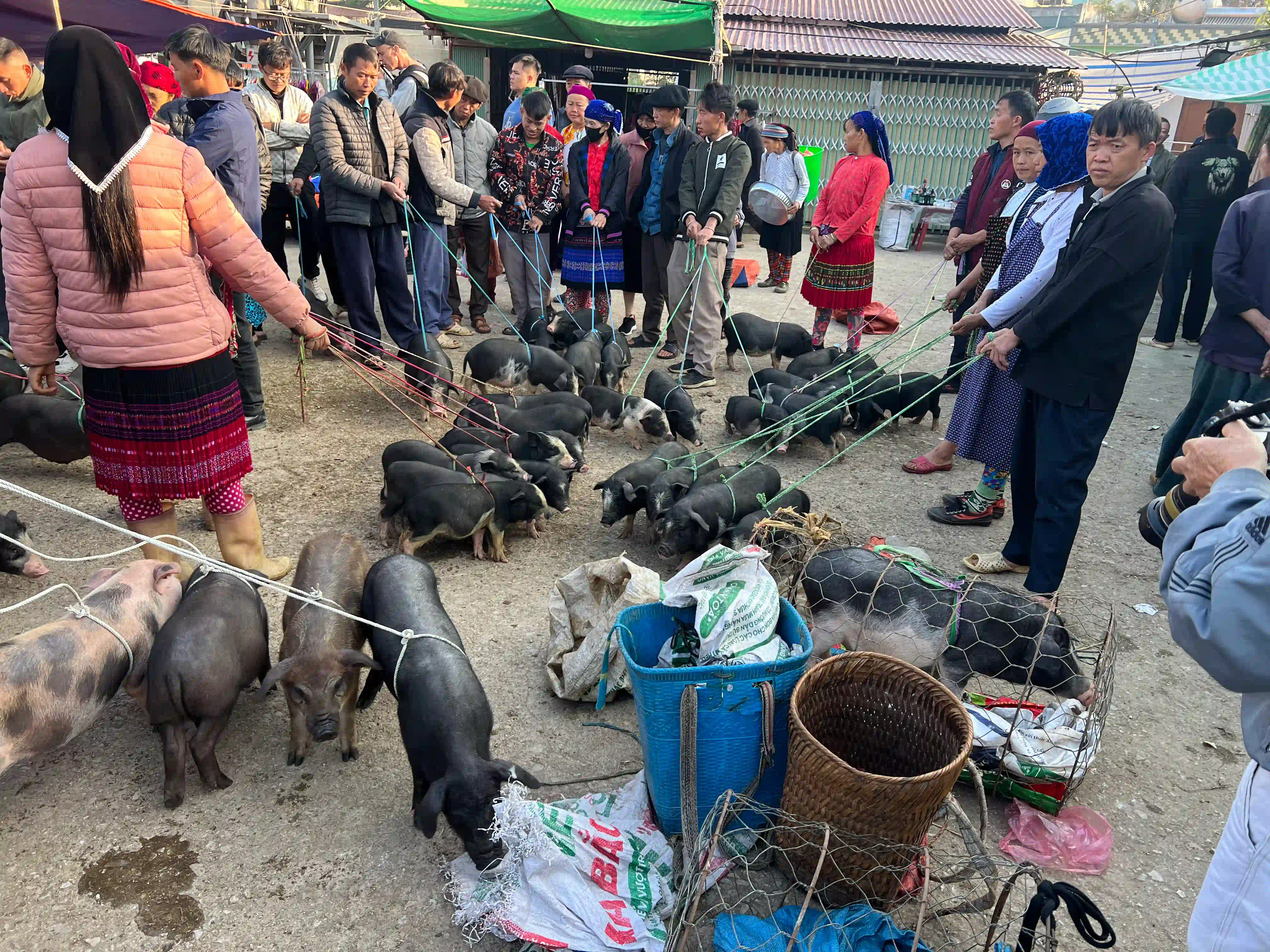 Dong Van Ancient Street: Best things to do in 1 night (2026) 32 Dong Van Market 4 Vietadvisor