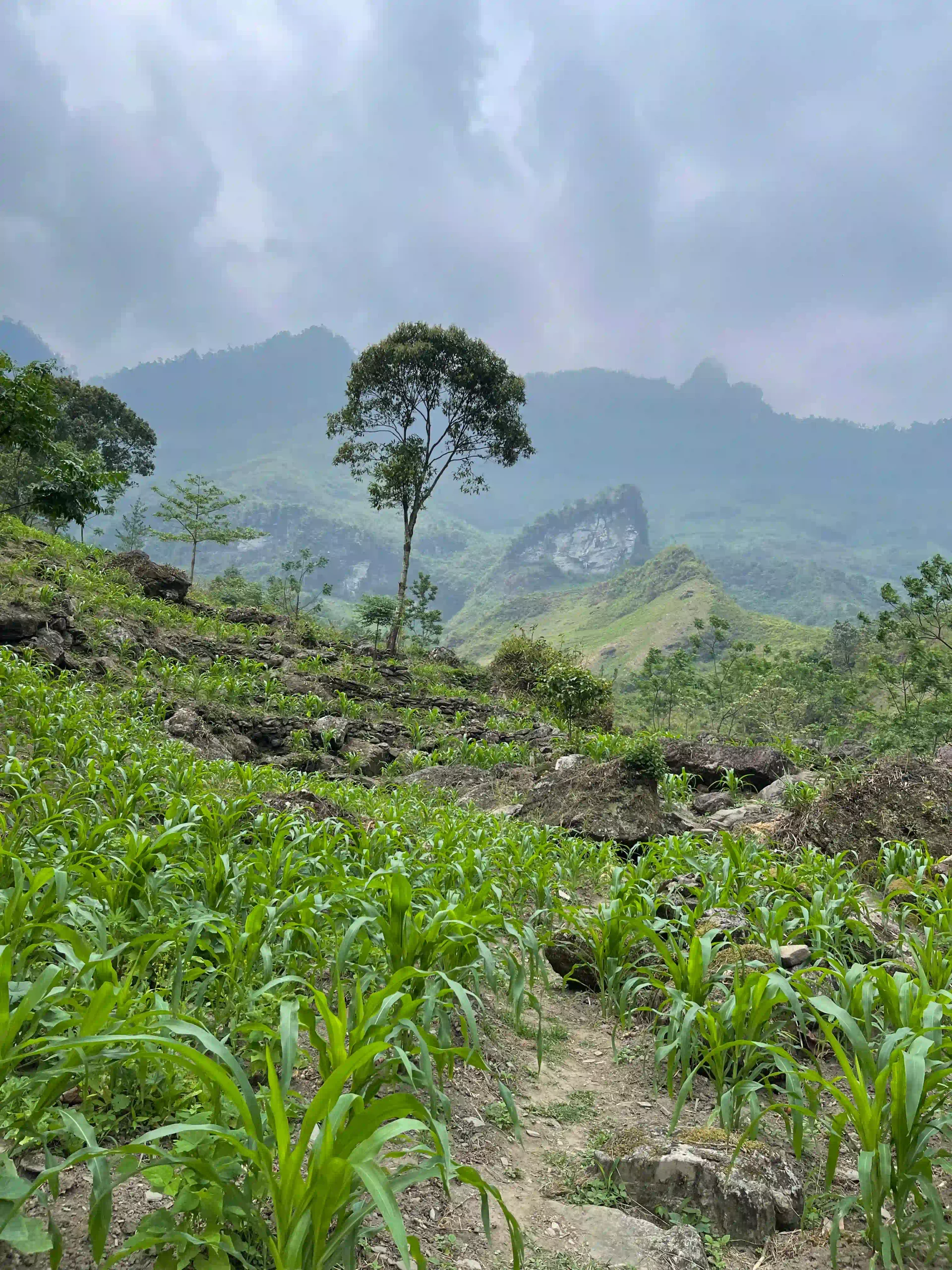Du Gia Waterfall and Village: How to get there & what to do 12 Du Gia Waterfall 2 the Quieter One Upstream 2 scaled Vietadvisor
