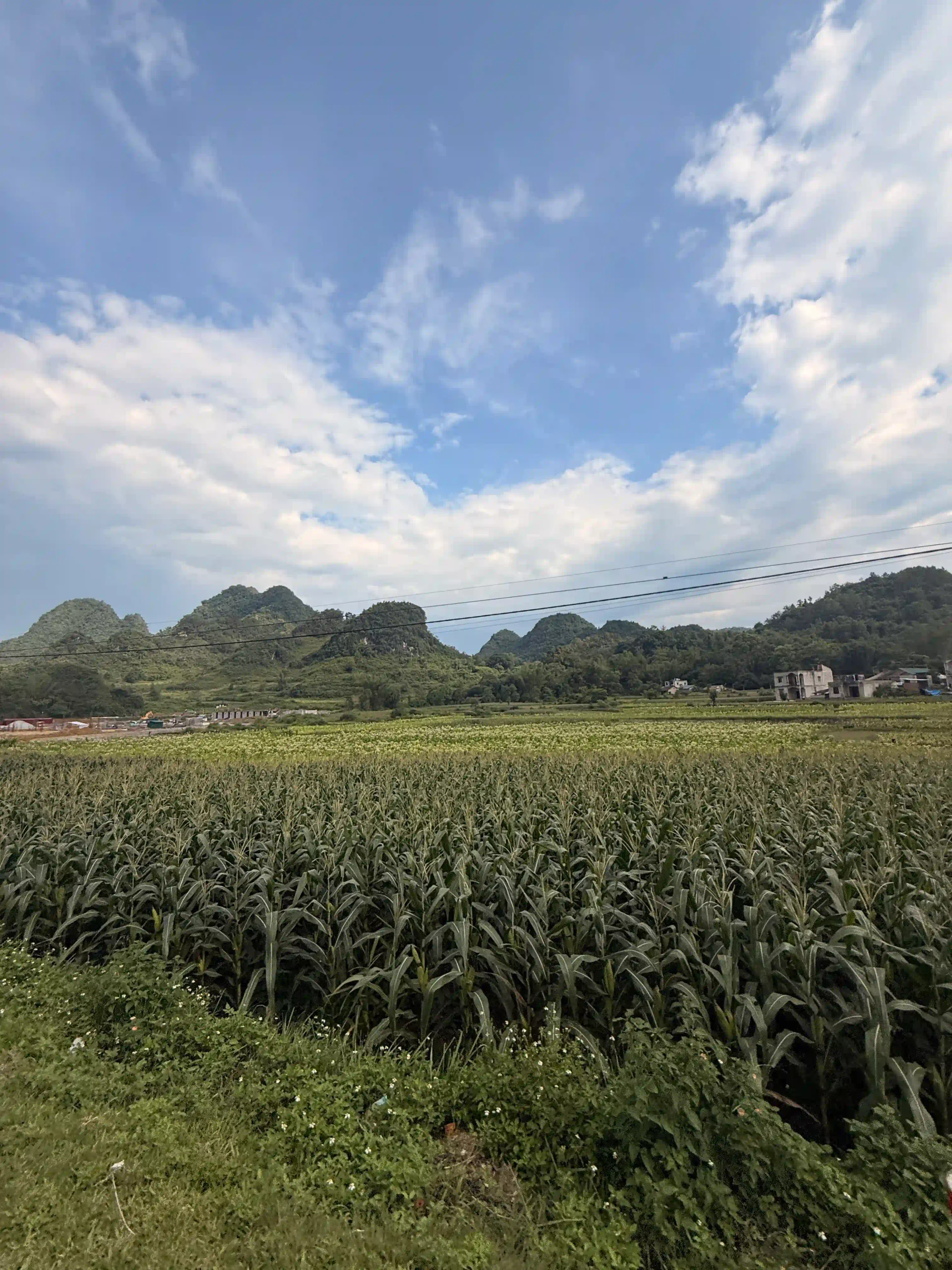 Cao Bang Loop vs Ha Giang Loop: Best choice for beginners? 43 Ha Giang to Cao Bang 6 scaled Vietadvisor
