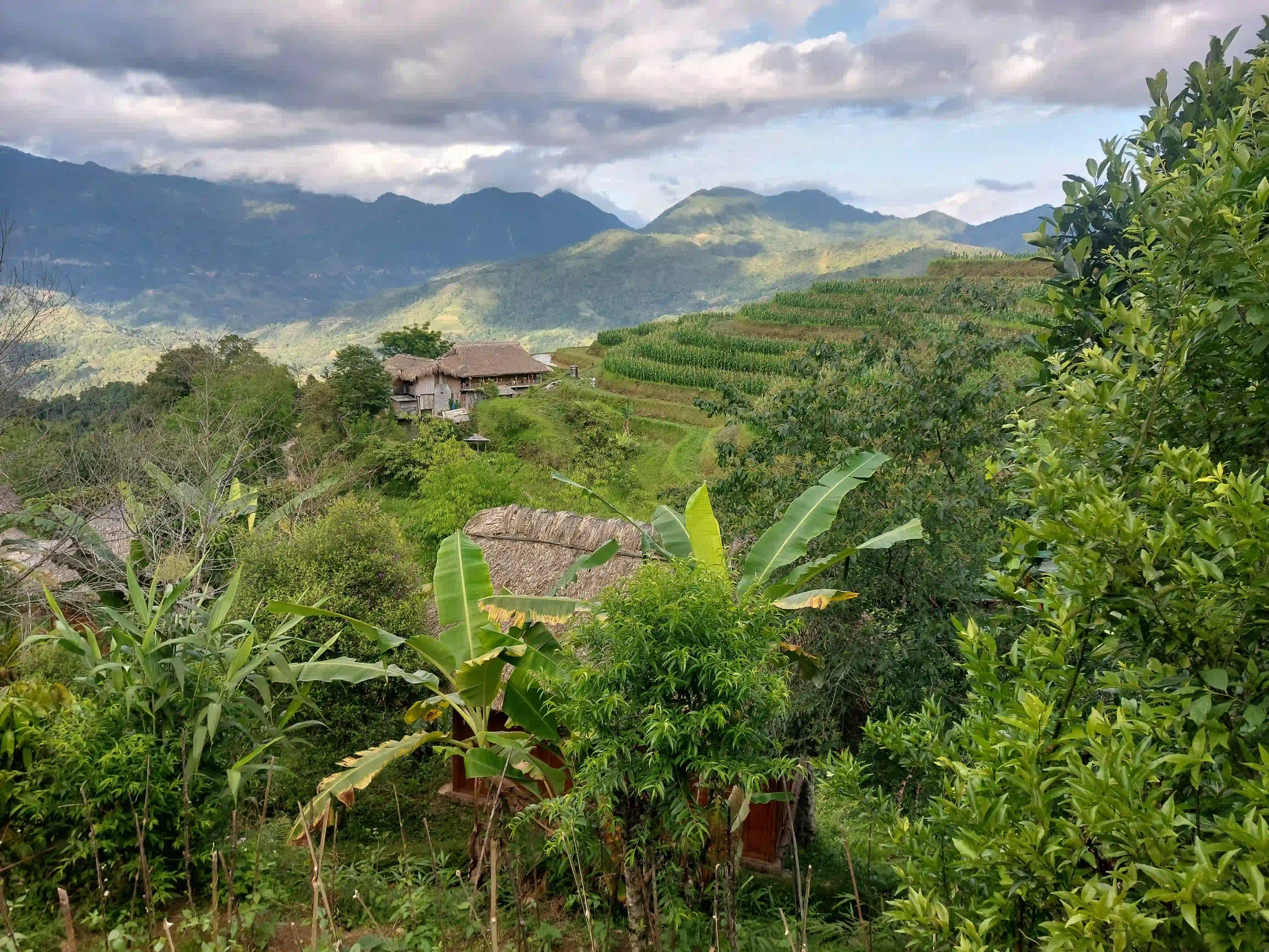 Hoang Su Phi trekking guide: My firsthand experience (2026) 35 Hoang Su Phi Bungalow 2 scaled Vietadvisor
