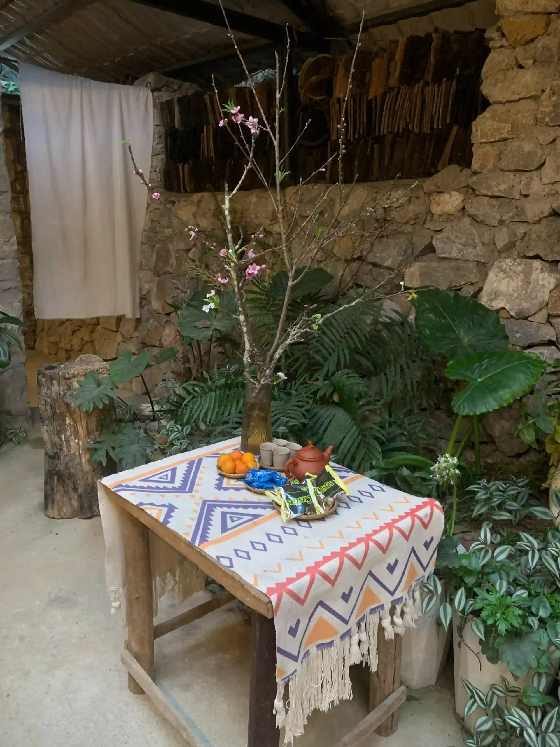 Where to stay in Dong Van, Ha Giang: 5 homestays you'll love 6 Le Petit Home 2 scaled Vietadvisor