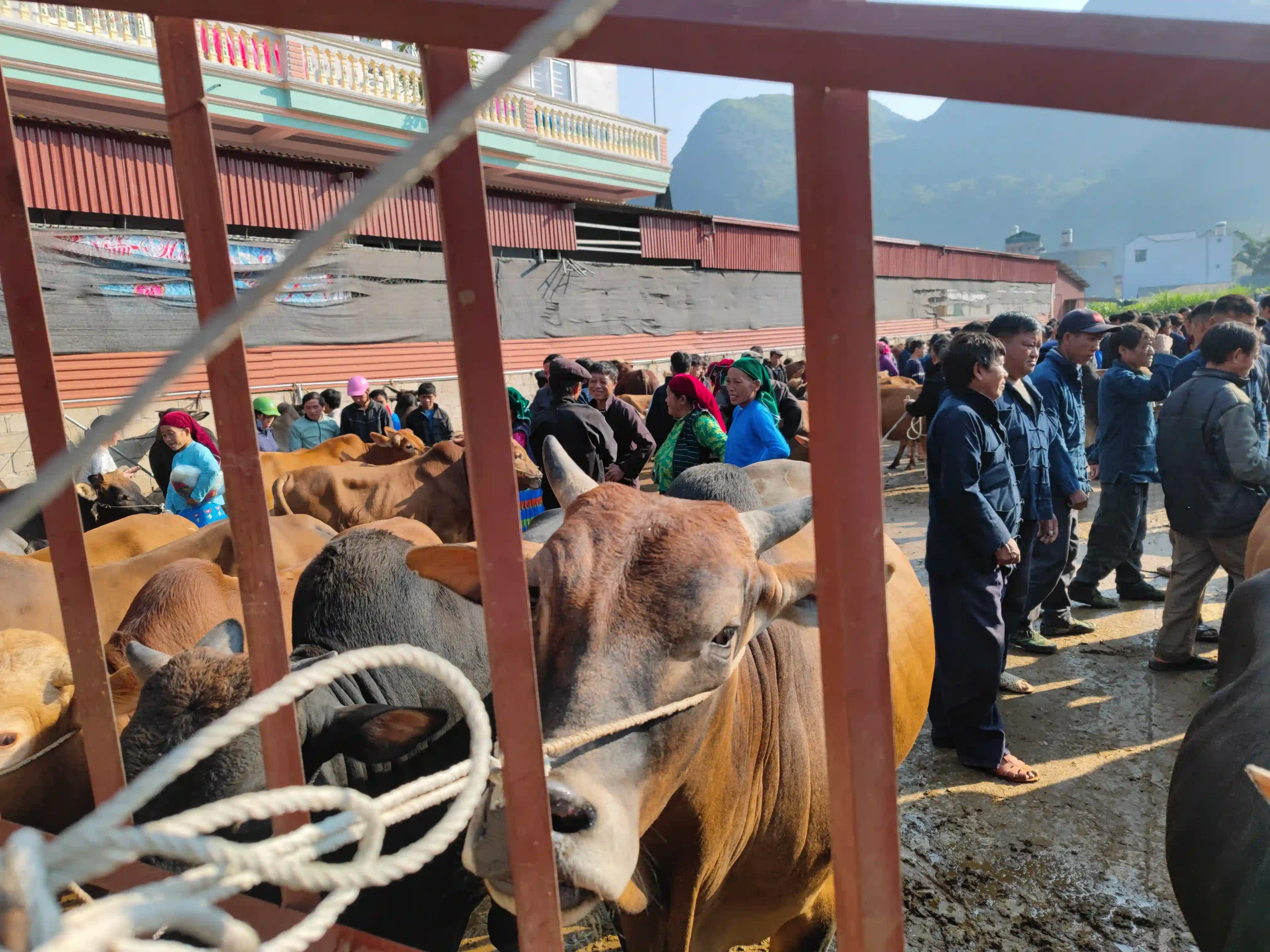 Meo Vac Ha Giang: Travel guide & things to do in 2027 8 Meo Vac Sunday market 3 scaled Vietadvisor