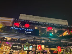 Morning Glory Signature 2