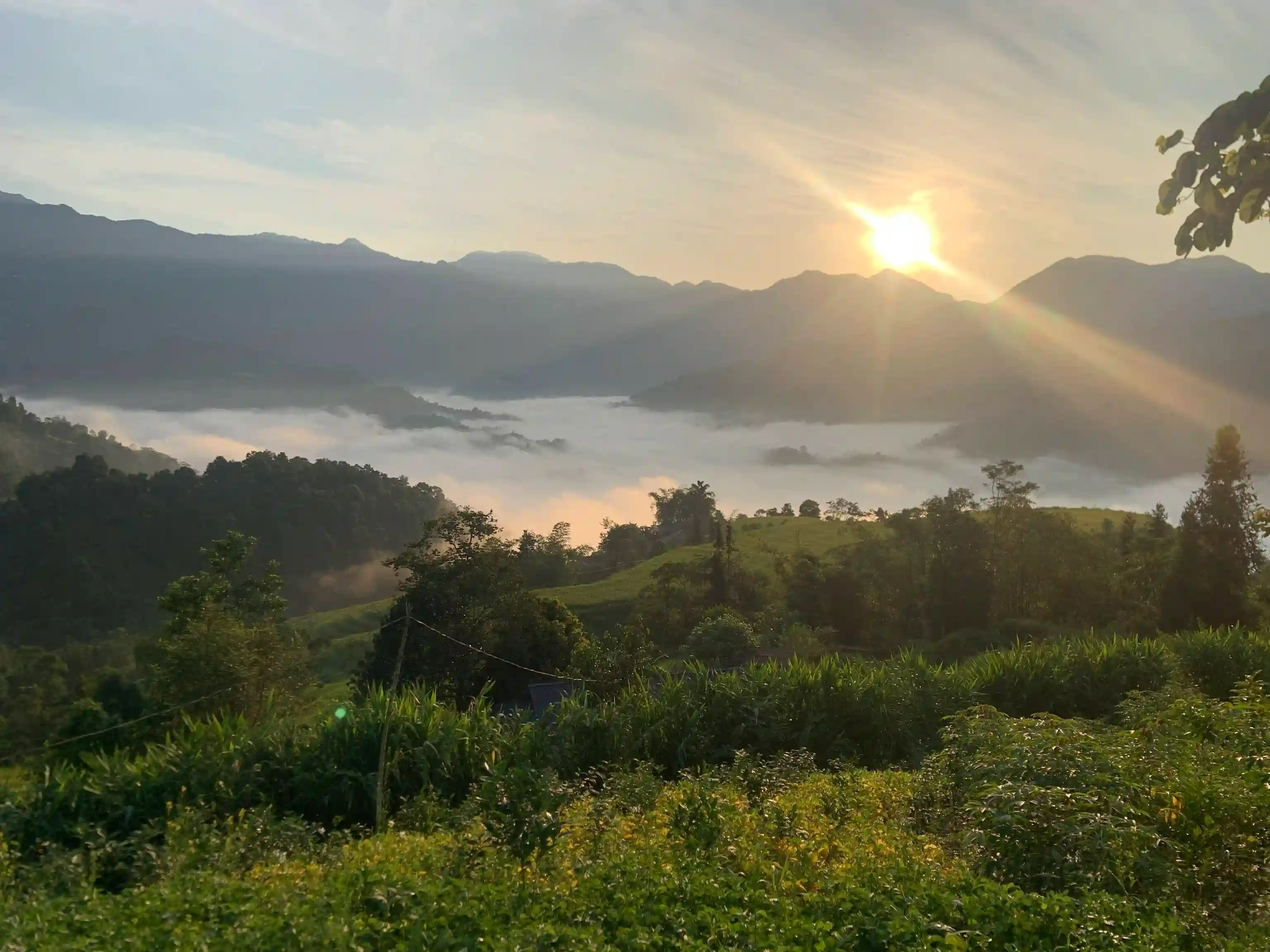 Hoang Su Phi trekking guide: My firsthand experience (2026) 11 Hoang Su Phi trekking guide