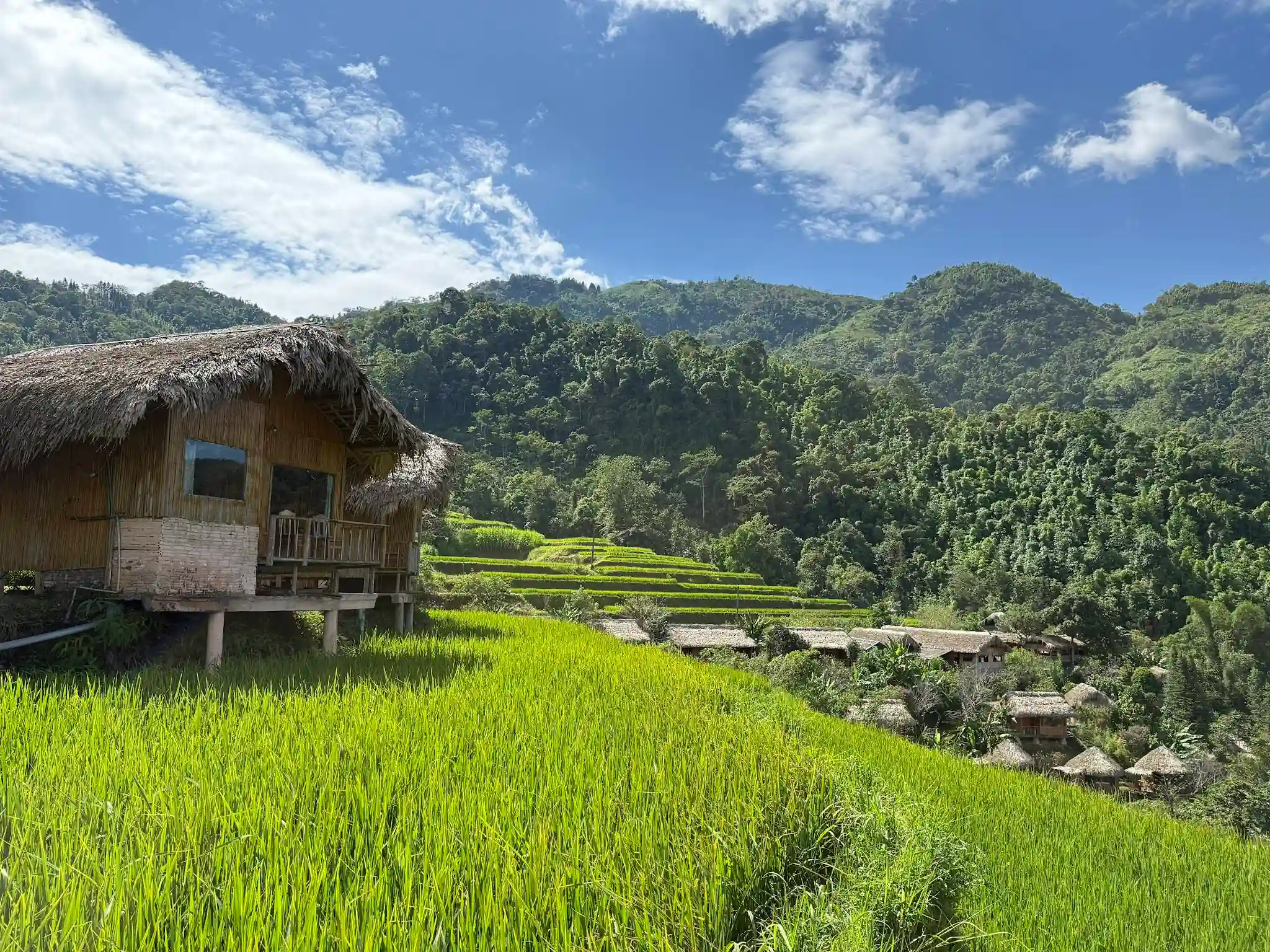 Hoang Su Phi trekking guide: My firsthand experience (2026) 14 Hoang Su Phi trekking guide