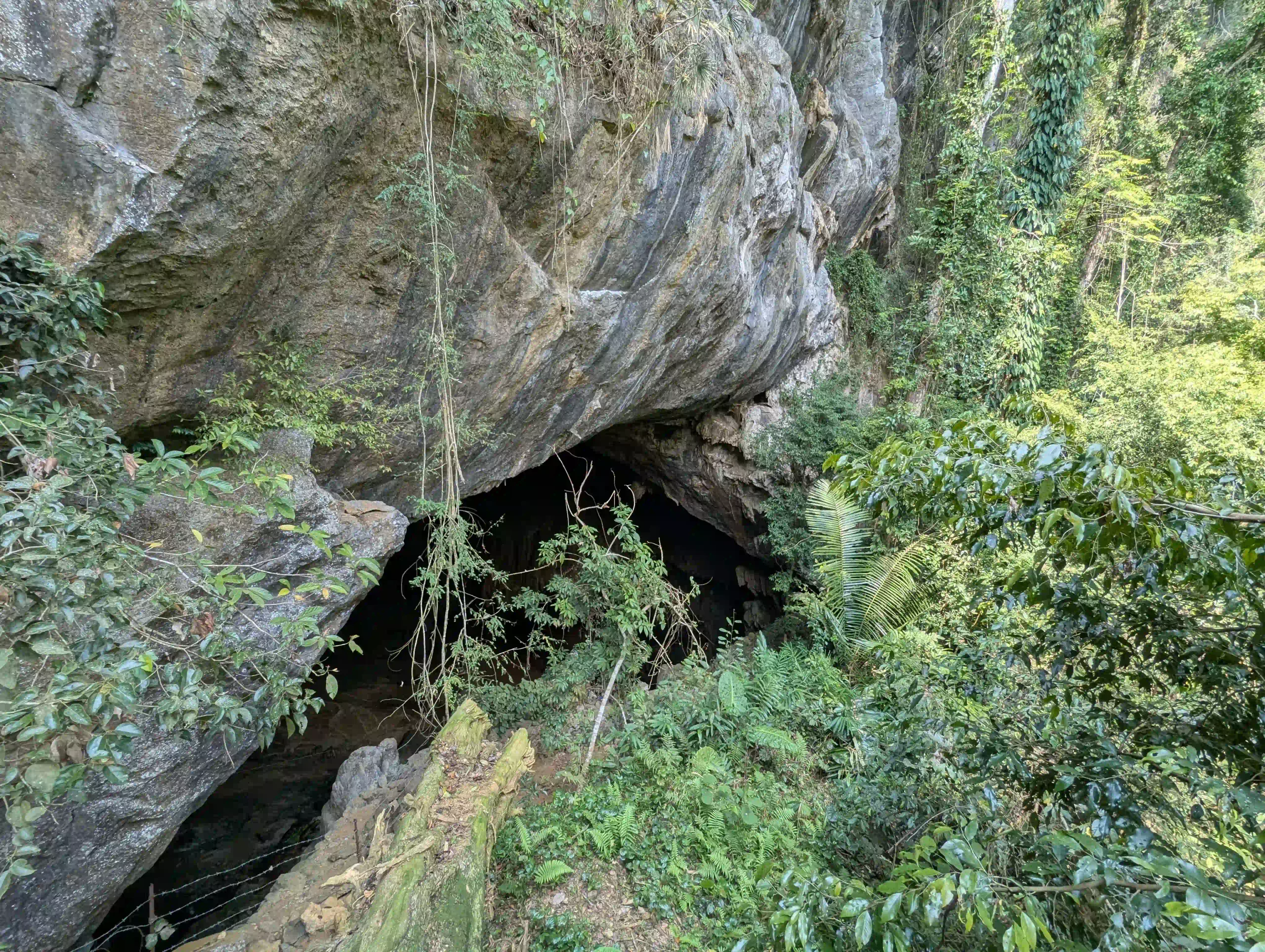 Cao Bang Loop vs Ha Giang Loop: Best choice for beginners? 33 Nguom Ngao cave 2 scaled Vietadvisor