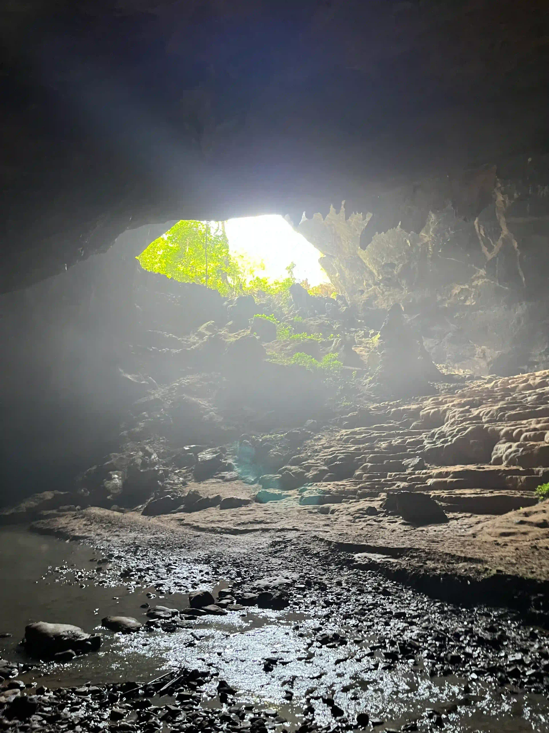 Cao Bang Loop vs Ha Giang Loop: Best choice for beginners? 34 Nguom Ngao cave scaled Vietadvisor