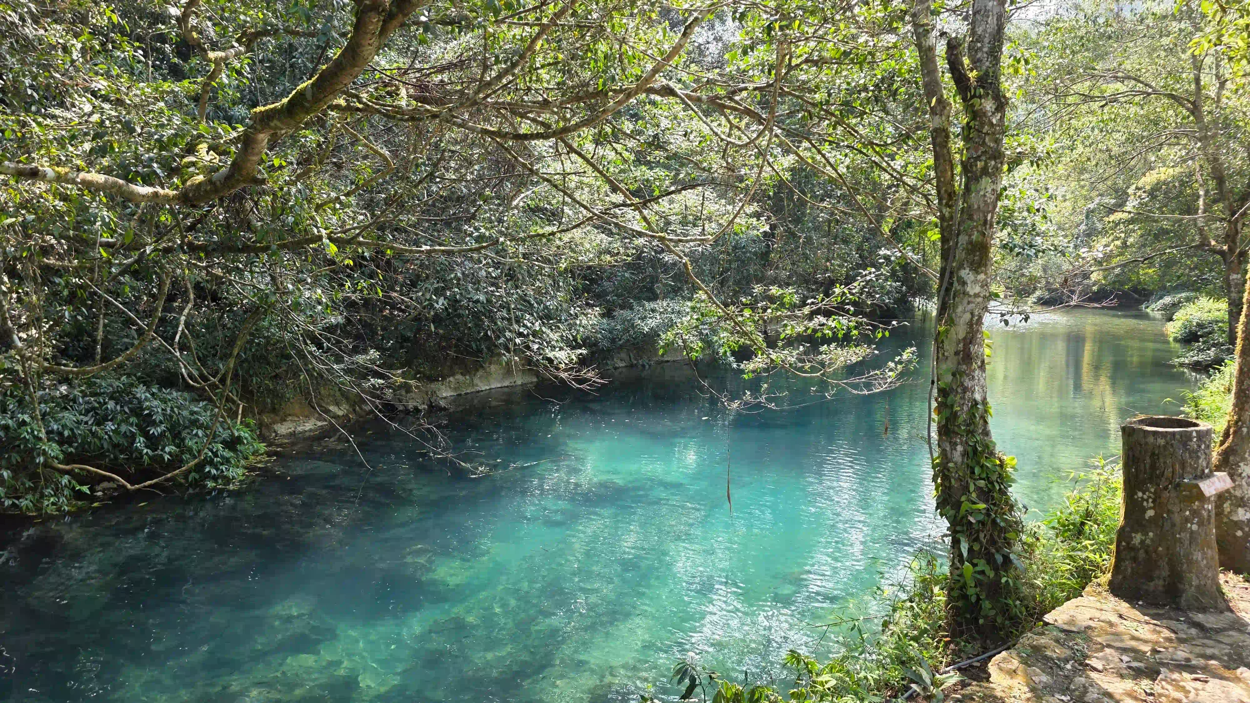 Cao Bang Loop vs Ha Giang Loop: Best choice for beginners? 38 Pac Bo lenin stream scaled Vietadvisor