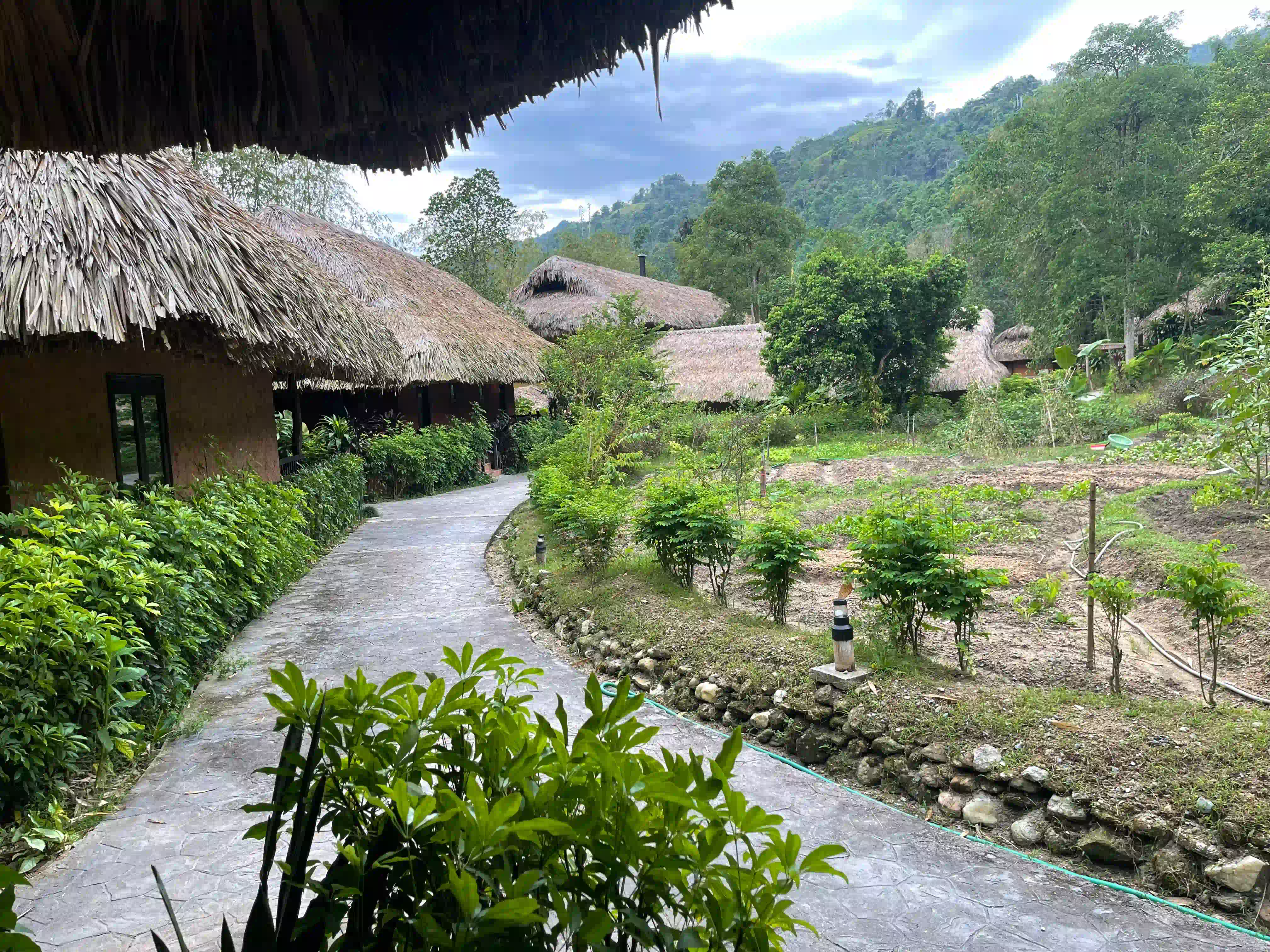 Hoang Su Phi trekking guide: My firsthand experience (2026) 33 Panhou Retreat 3 Vietadvisor