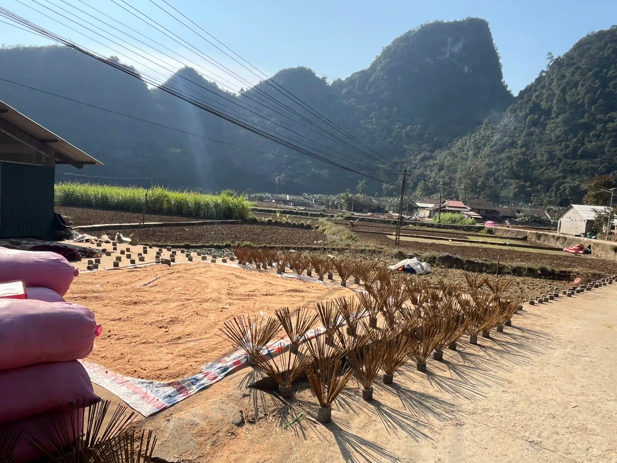 Cao Bang Loop vs Ha Giang Loop: Best choice for beginners? 35 Phja Thap cao bang scaled Vietadvisor