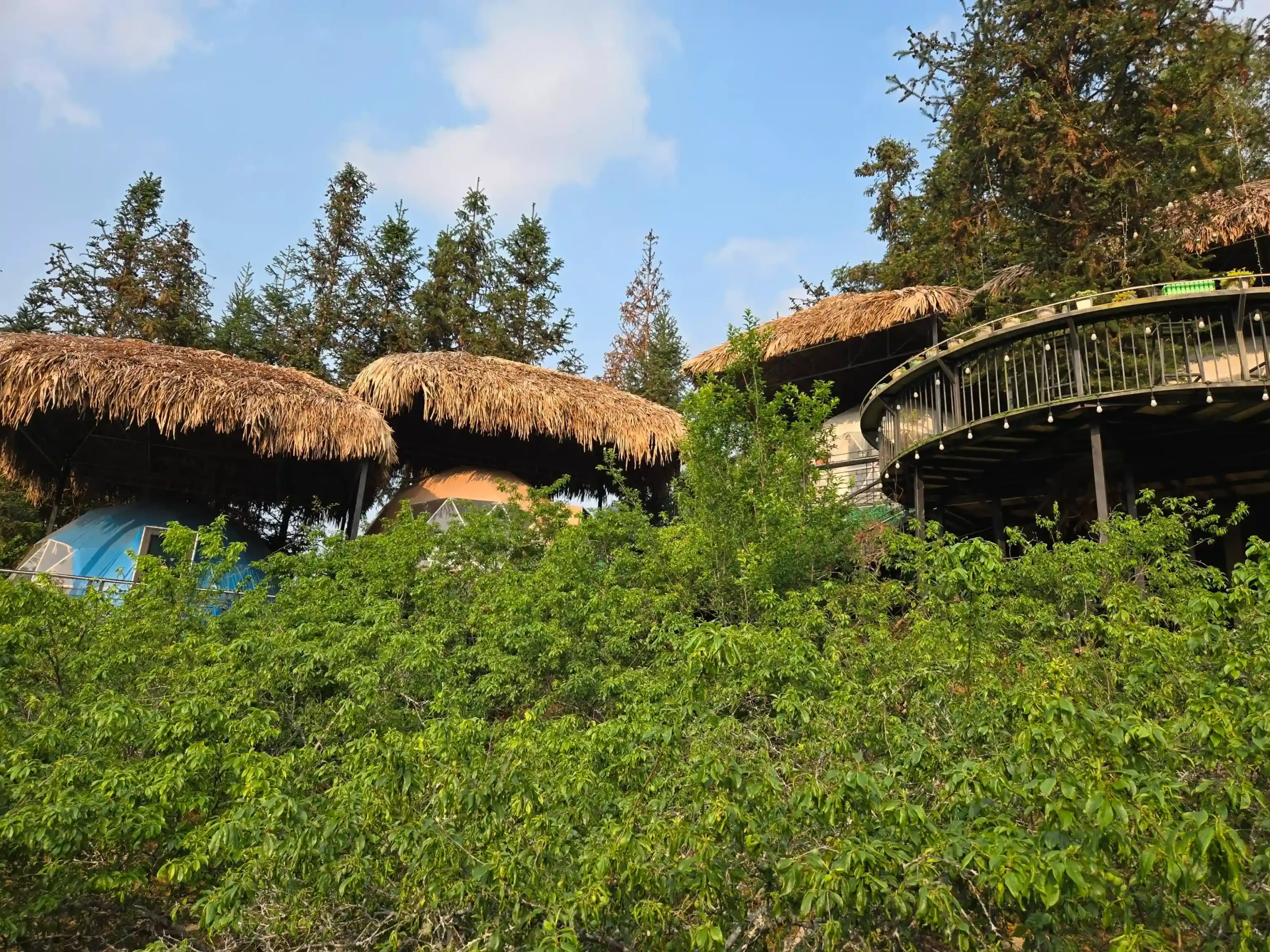 Where to stay in Dong Van, Ha Giang: 5 homestays you'll love 51 Plum Hillside Lodge 2 scaled Vietadvisor
