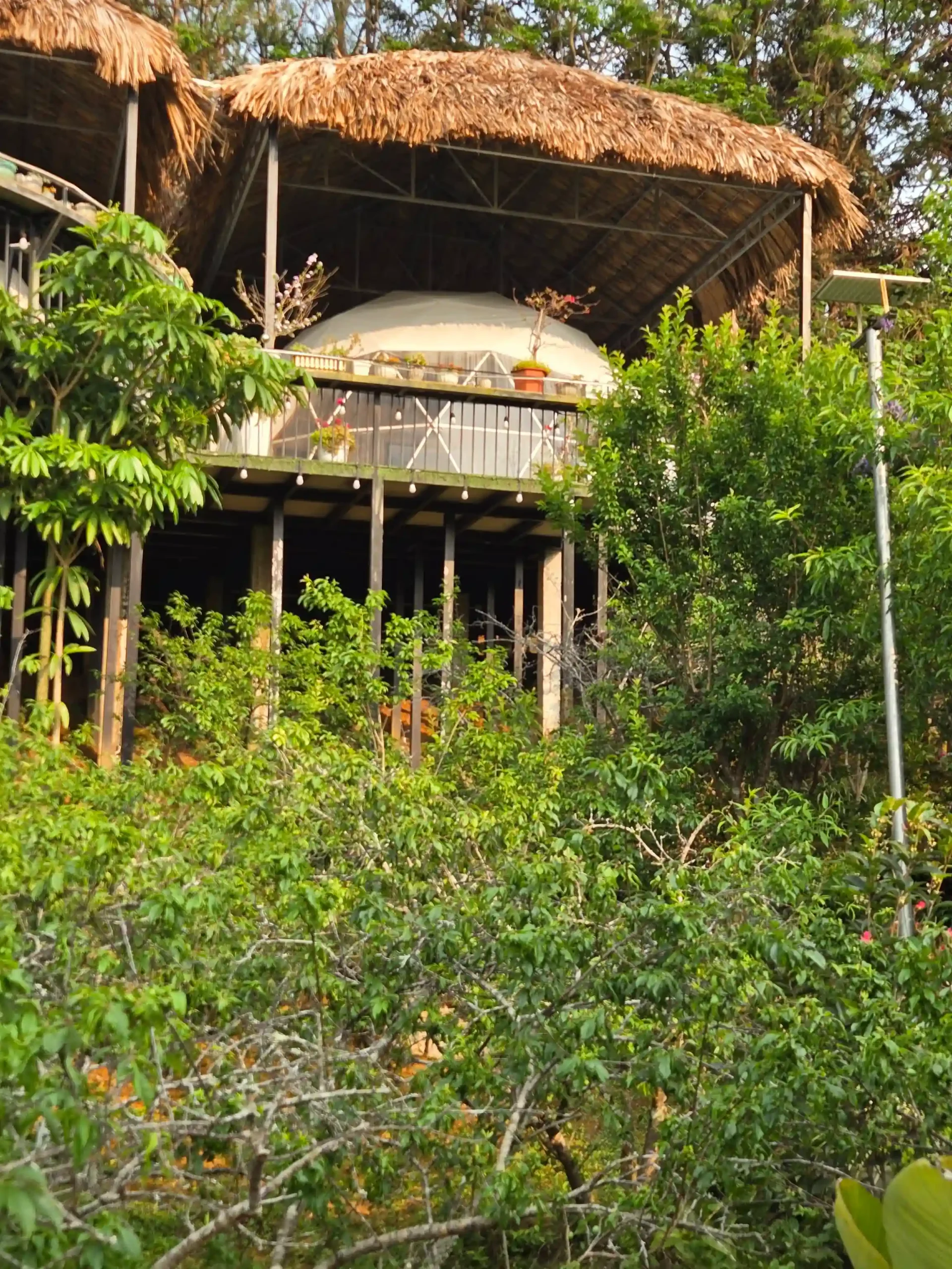 Where to stay in Dong Van, Ha Giang: 5 homestays you'll love 52 Plum Hillside Lodge 3 scaled Vietadvisor