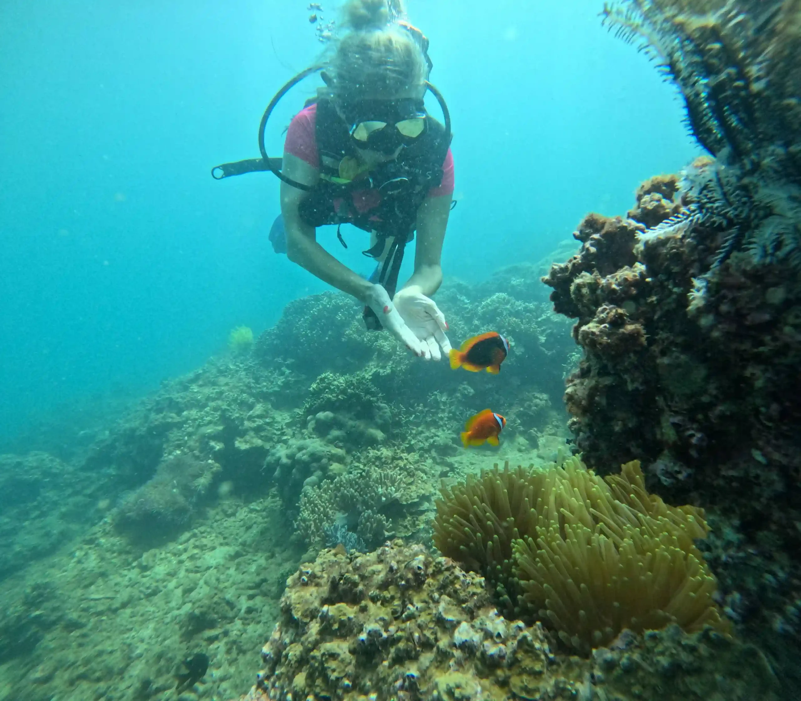 Hoi An to Cham Island scuba diving: My first-time review 31 The Dive Sites cham island 8 scaled Vietadvisor