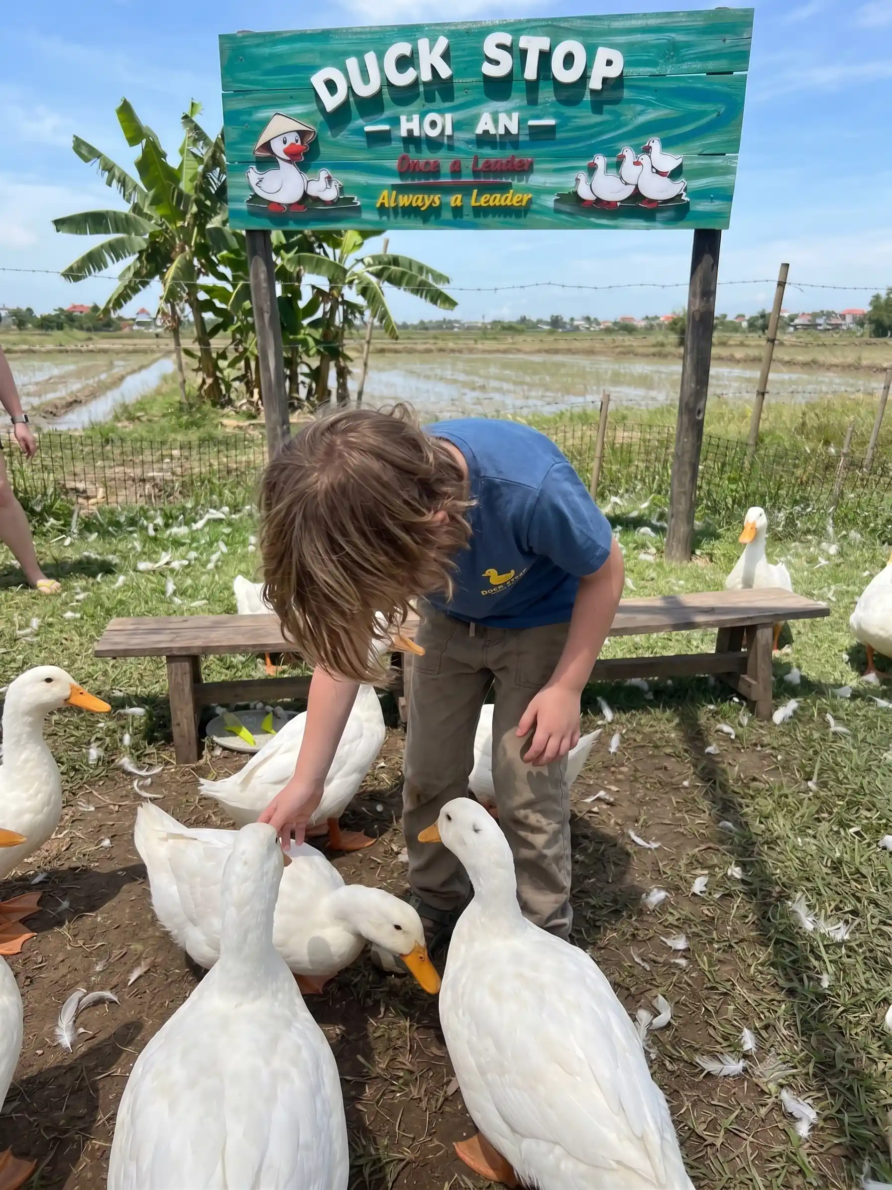 Duck stop Hoi An: Expectation vs. reality - Is it worth it? 16 The Duck Massage Is the Whole Visit hoi an duck stop 16 Vietadvisor