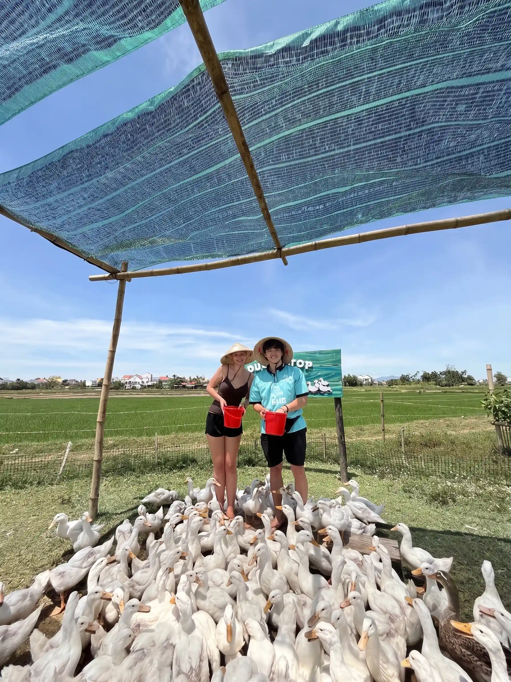 Duck stop Hoi An: Expectation vs. reality - Is it worth it? 7 The Duck Massage Is the Whole Visit hoi an duck stop 5 Vietadvisor