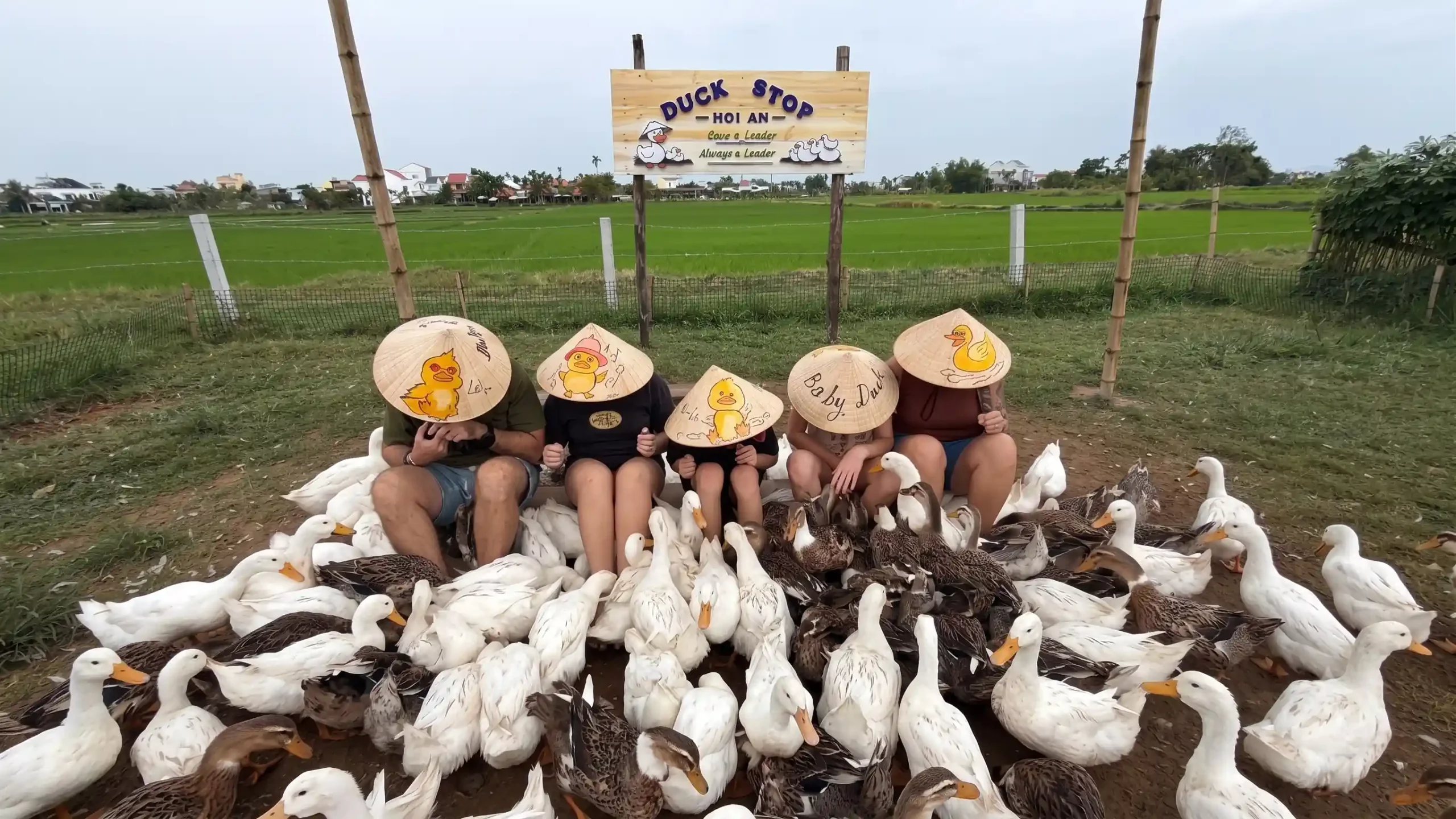 Duck stop Hoi An: Expectation vs. reality - Is it worth it? 12 The Duck Massage Is the Whole Visit hoi an duck stop 7 scaled Vietadvisor