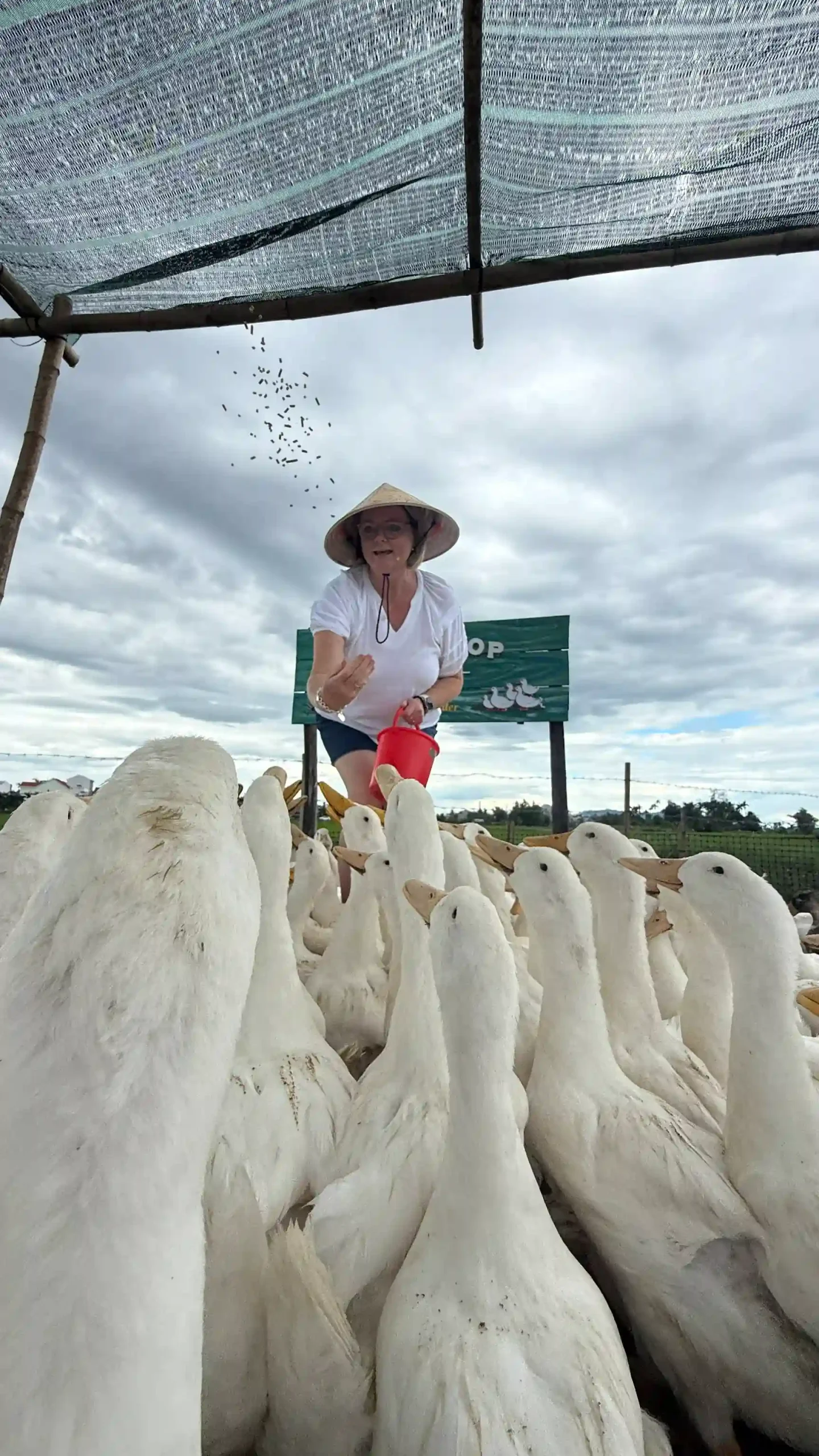 Duck stop Hoi An: Expectation vs. reality - Is it worth it? 6 The Duck Massage Is the Whole Visit hoi an duck stop scaled Vietadvisor
