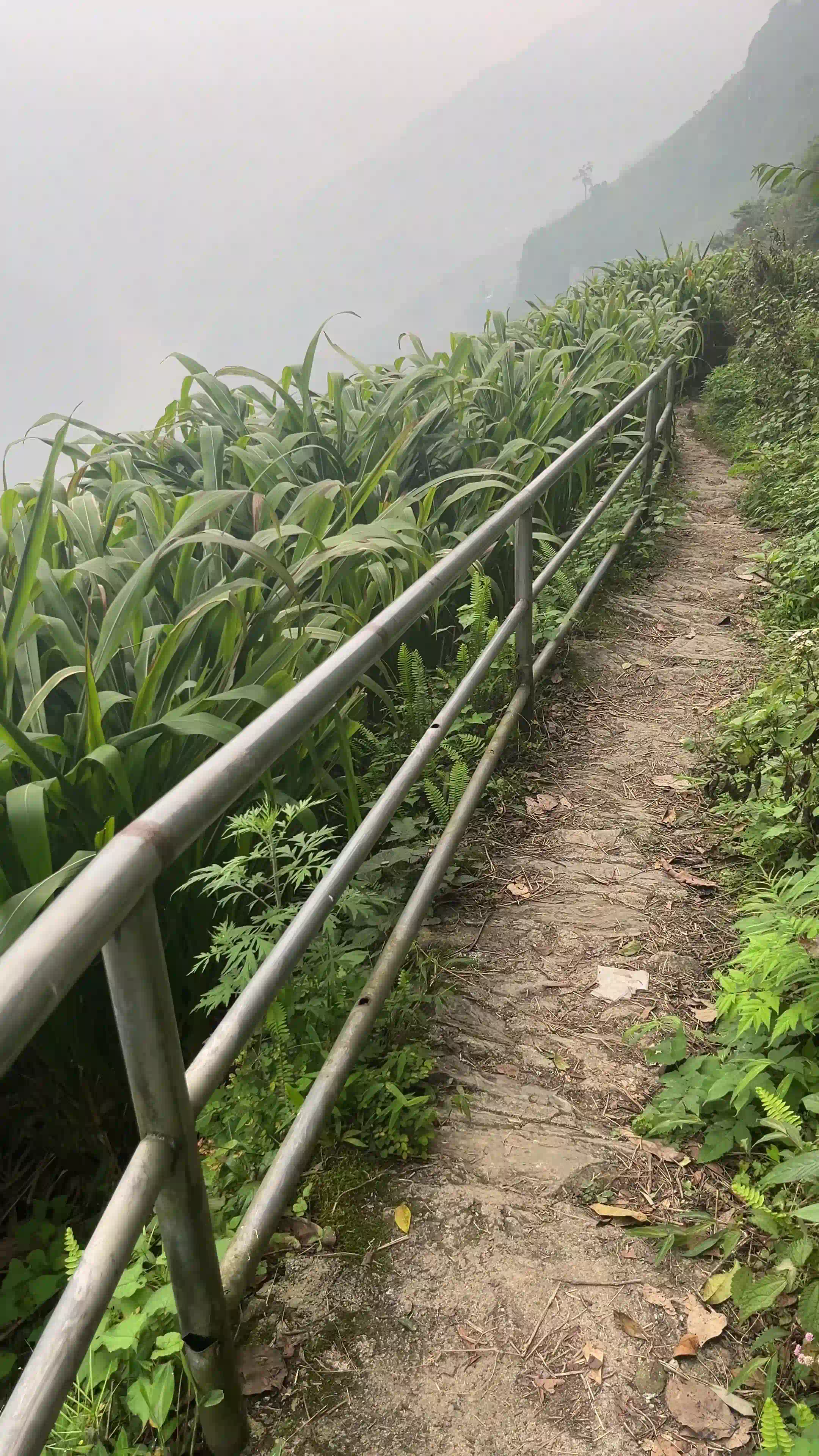 Ma Pi Leng Pass: Expectation vs reality 2026 (honest guide) 28 The Sky Path Hike to the White Cliffs 3 Vietadvisor
