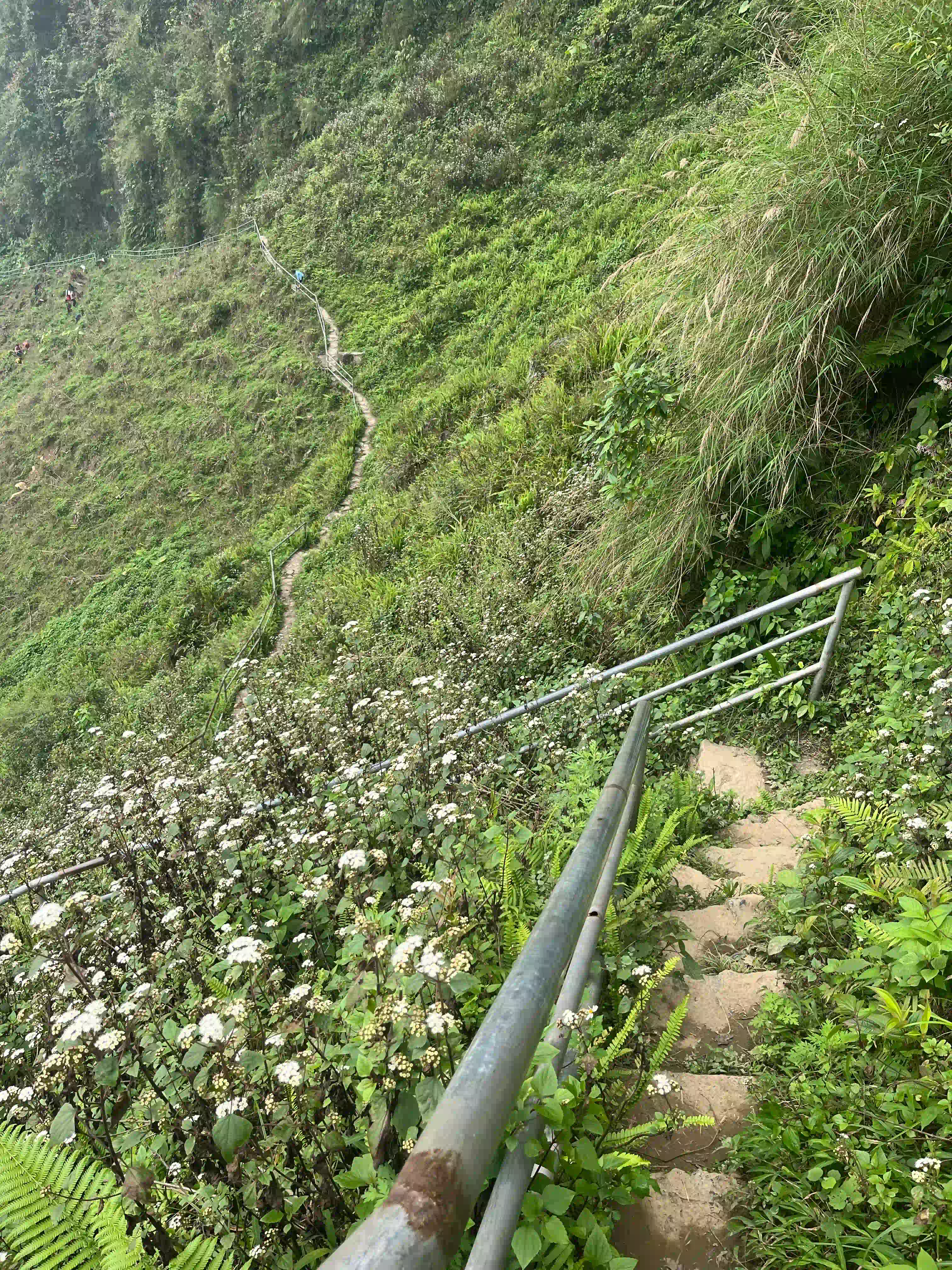Ma Pi Leng Pass: Expectation vs reality 2026 (honest guide) 29 The Sky Path Hike to the White Cliffs 4 Vietadvisor