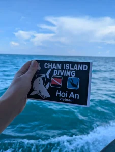 The Two Things Called Diving Here Cham island 5
