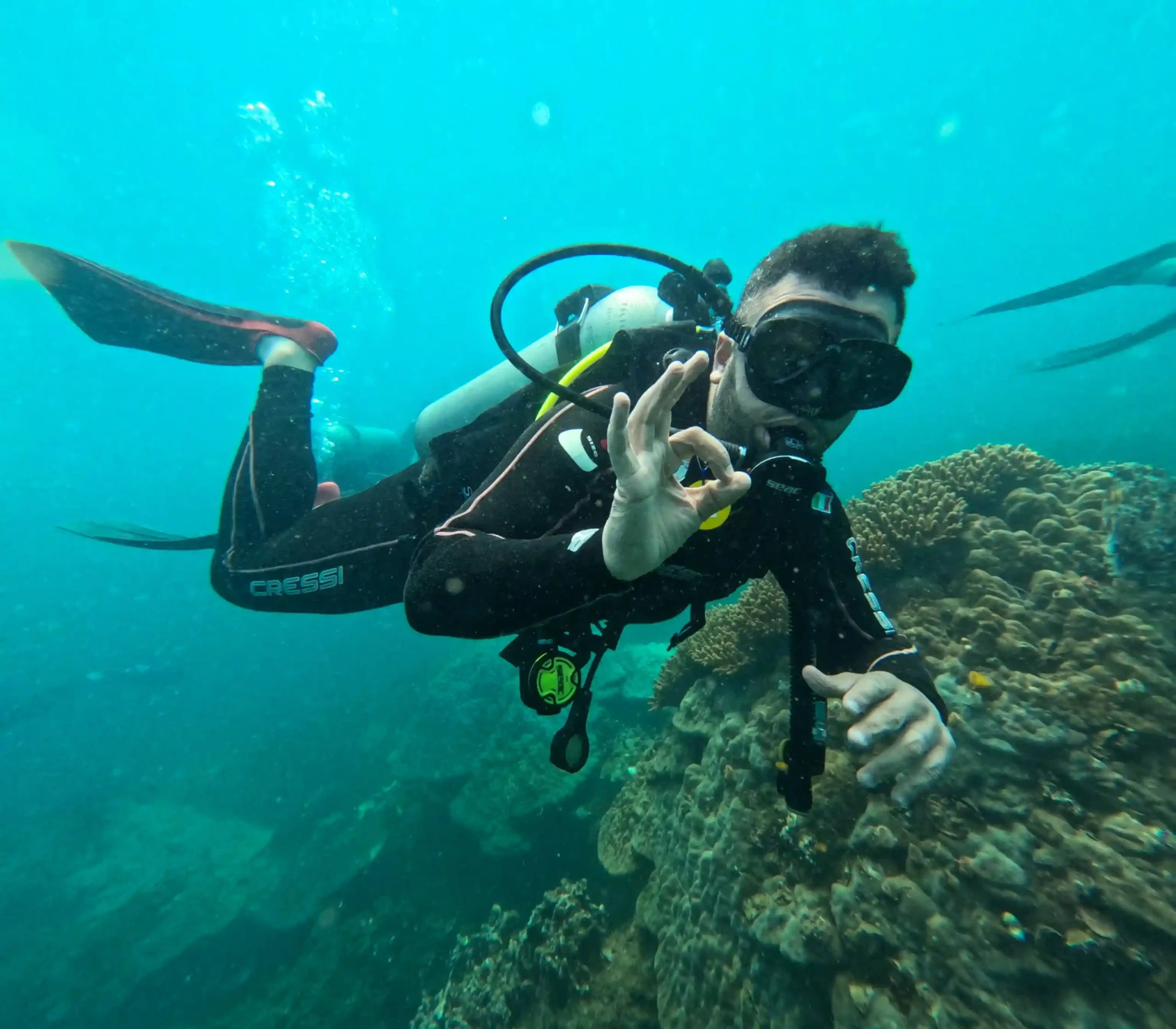 Hoi An to Cham Island scuba diving: My first-time review 5 Hoi An to Cham Island scuba diving