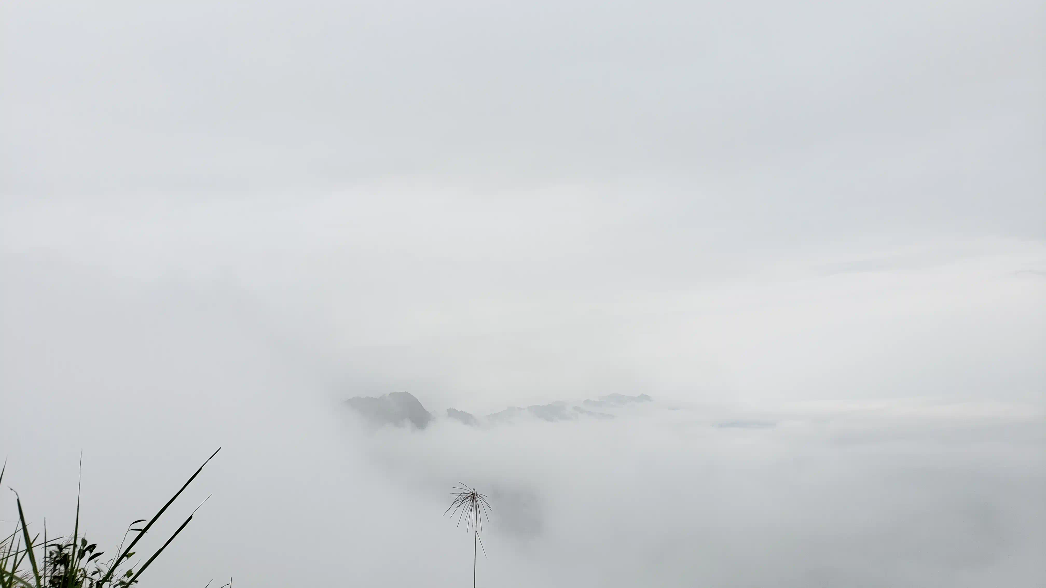 Ma Pi Leng Pass: Expectation vs reality 2026 (honest guide) 14 fog in ma pi leng Vietadvisor