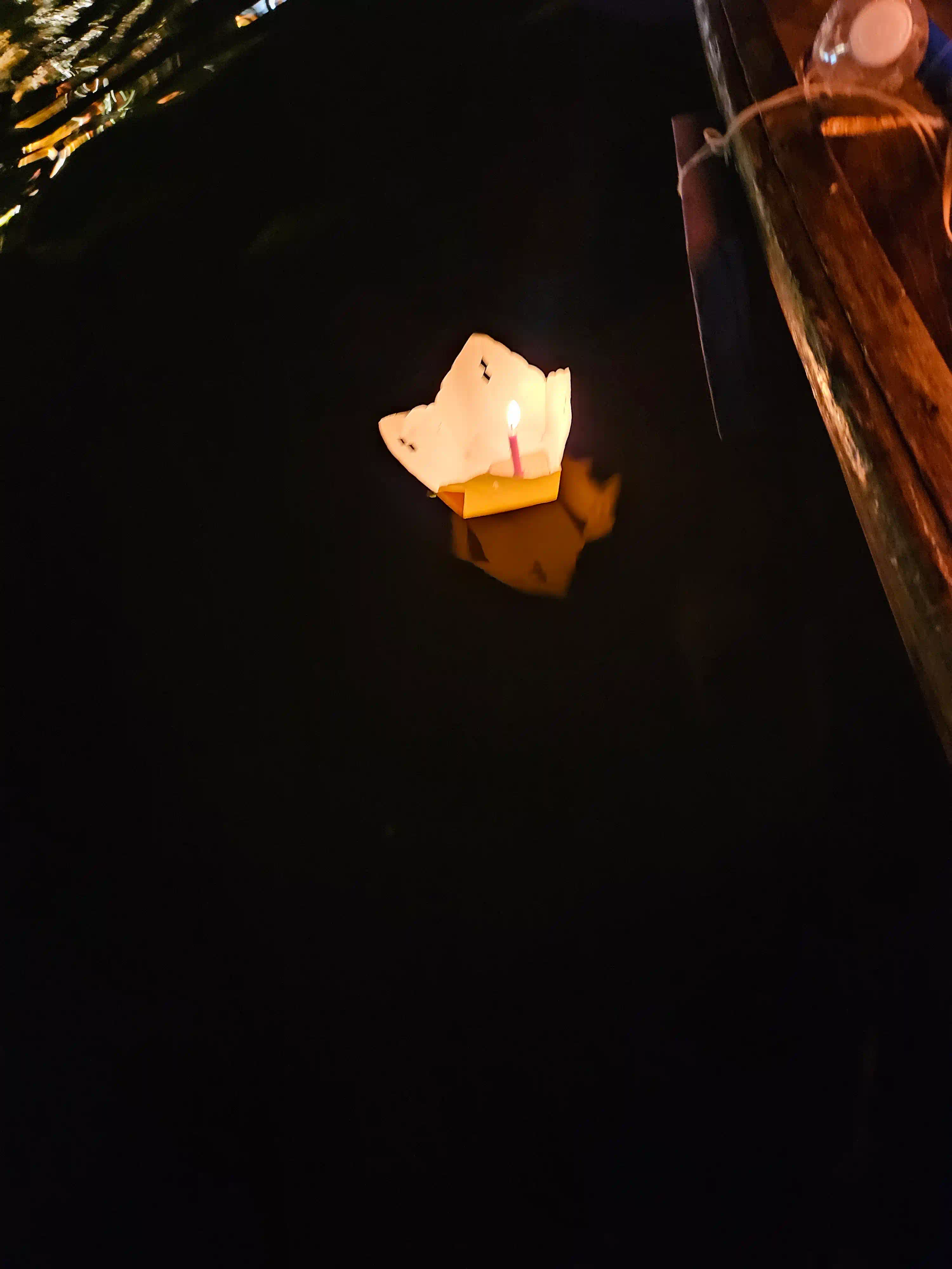 Review: Is the Hoi An lantern boat ride really worth it? 17 lower the lantern onto the water 3 Vietadvisor
