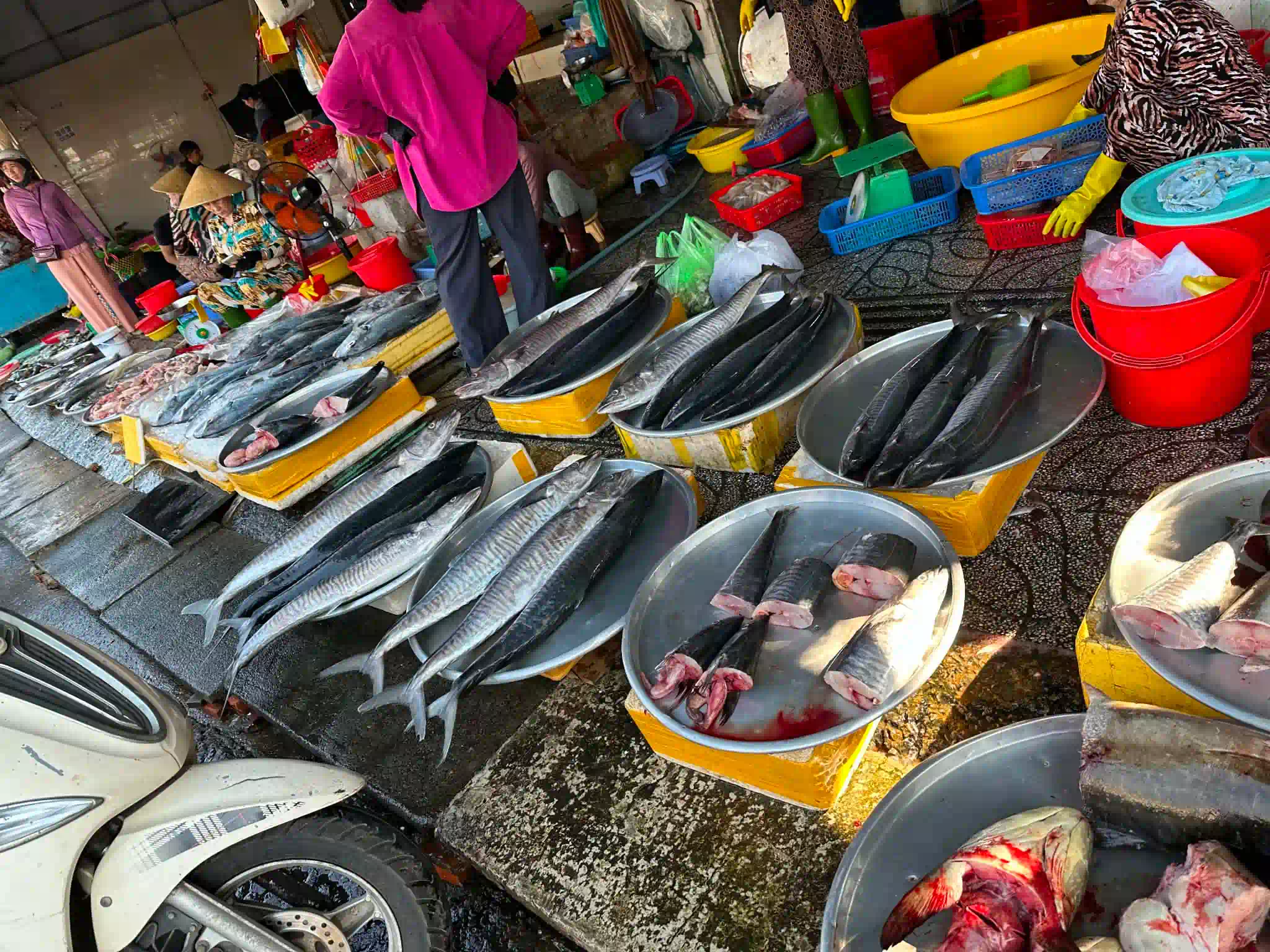 Where to Shop in Phu Quoc: 7 Places I Recommend (2026) 15 Duong Dong Market 3 Vietadvisor