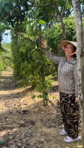 Hai Dương pepper farm 6