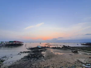 Ham Ninh Fishing Town Review 3