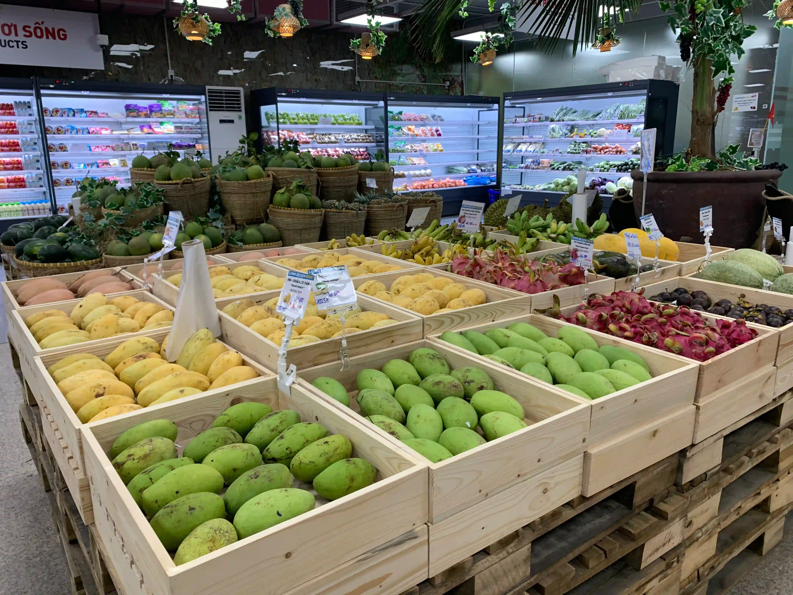 Where to Shop in Phu Quoc: 7 Places I Recommend (2026) 9 Long Beach Center phu quoc 5 scaled Vietadvisor