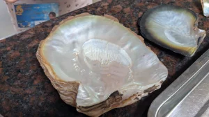 Ngoc Hien Pearl phu quoc 5