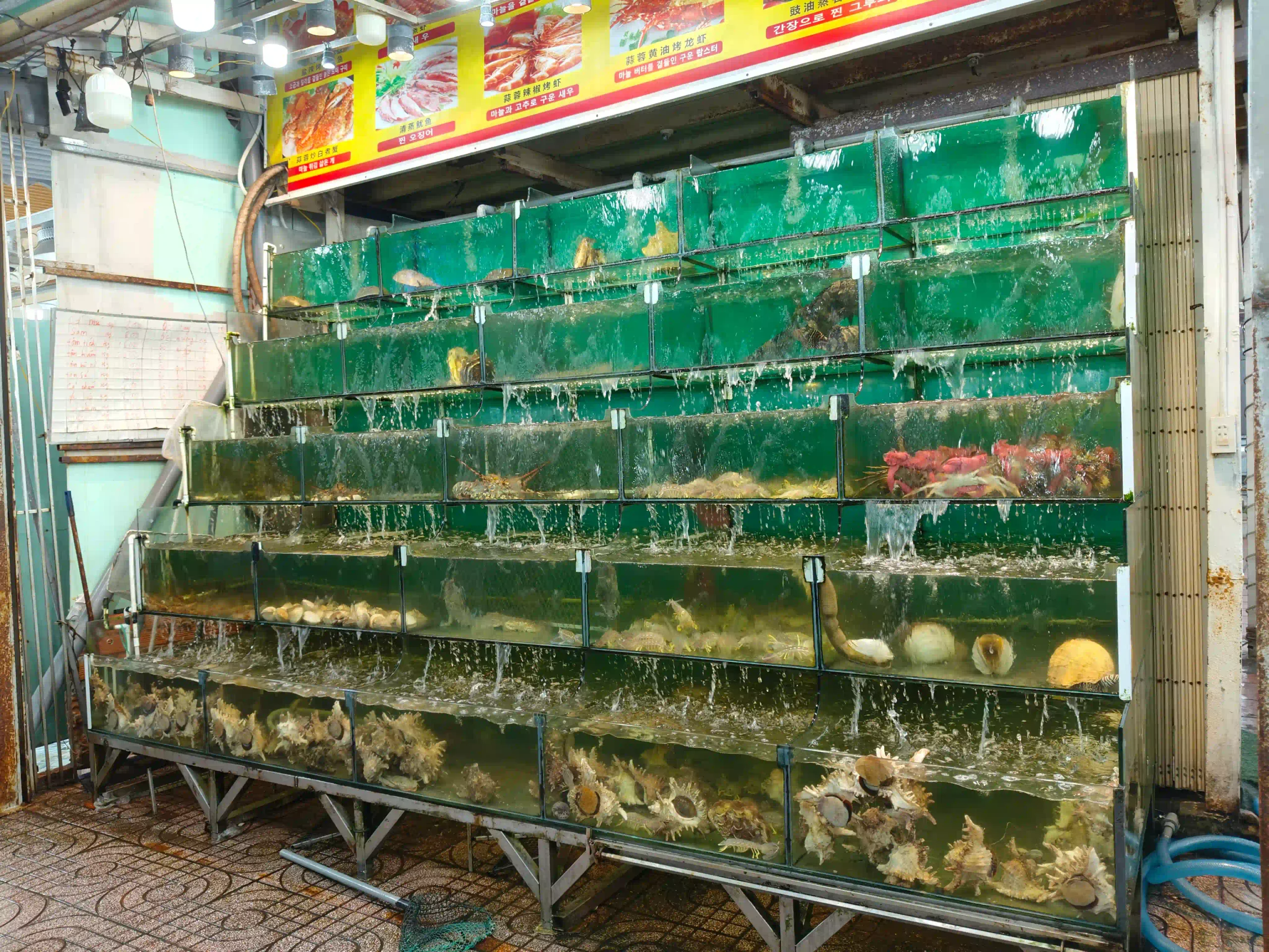 Phu Quoc Night Market Guide: What to Eat, Buy & Do (2026) 14 Ordering Seafood by the Kilo Without a Surprise Bill 3 scaled Vietadvisor