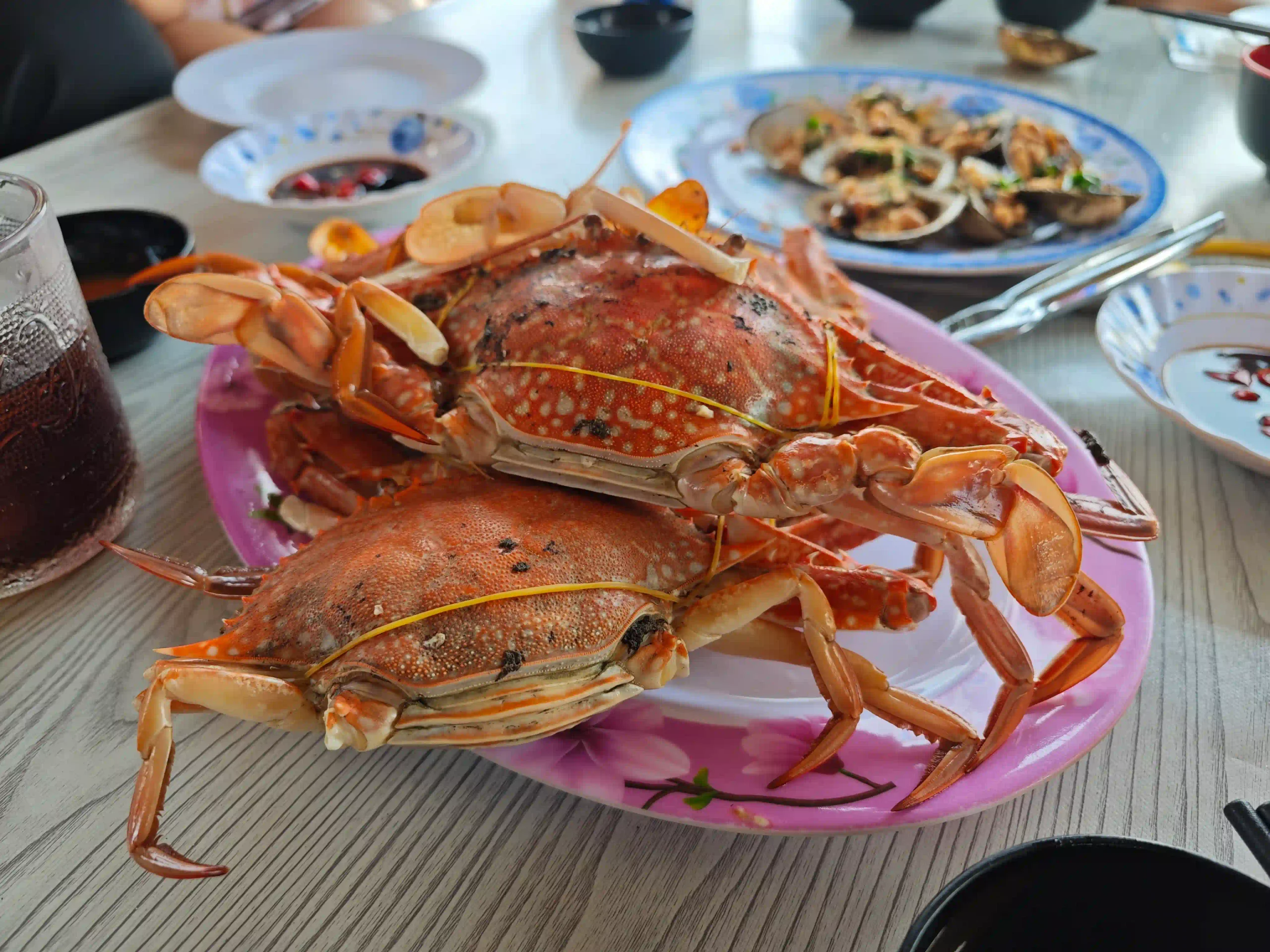 Ham Ninh Fishing Town: Reviews & Reality Check (2027) 13 Thao Nhi at the South End crab scaled Vietadvisor