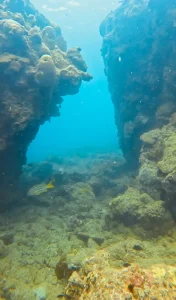 The Diving con dao island 3