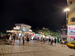 Vui-Fest Night Market in Sunset Town