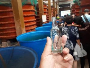 What You See on a Fish Sauce Factory Tour phu quoc 8