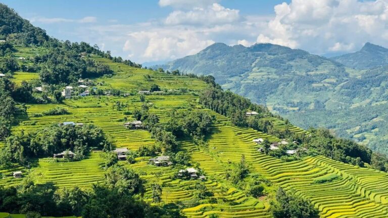 Do I need hiking shoes for Sapa or are sneakers fine? 9 sapa 61983 Vietadvisor