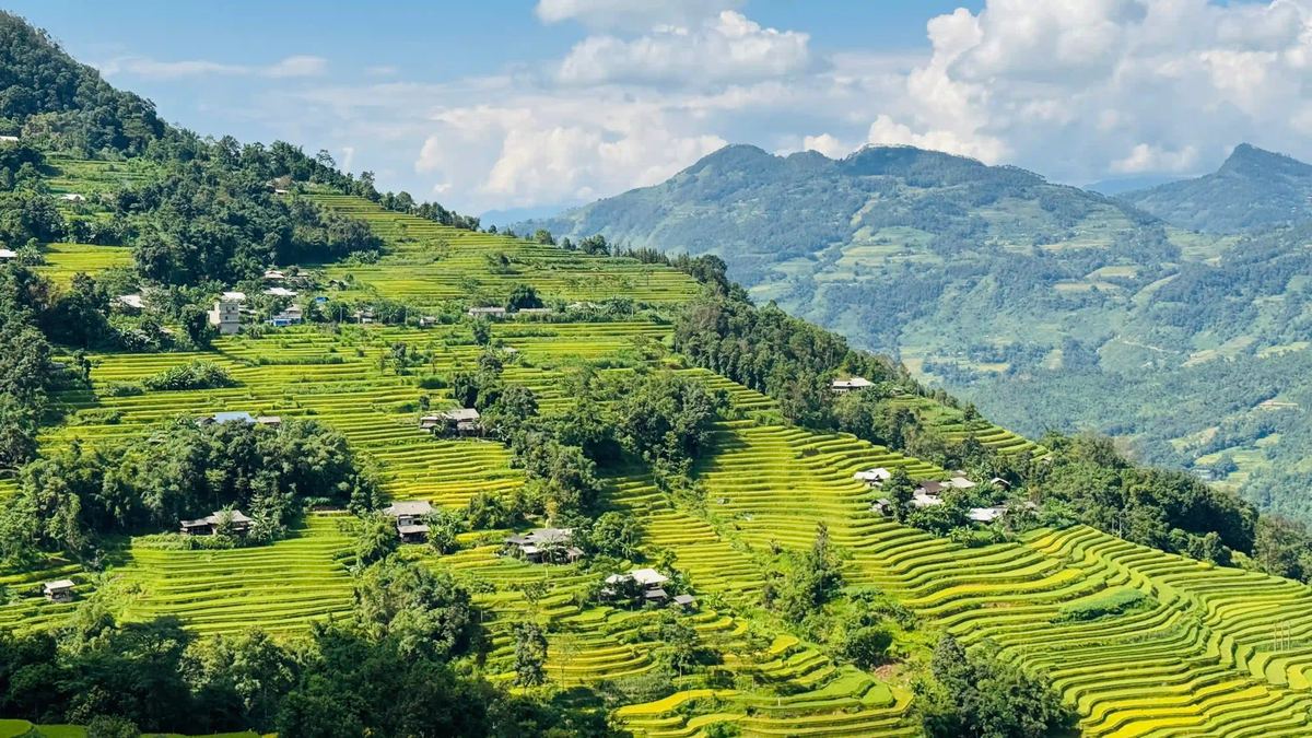 Do I need hiking shoes for Sapa or are sneakers fine? 1 sapa 61983