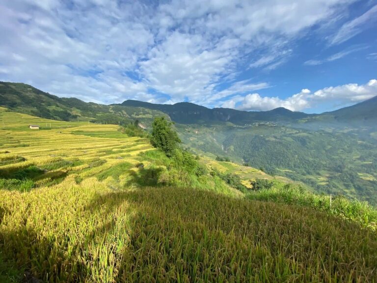 sapa 61985 Vietadvisor