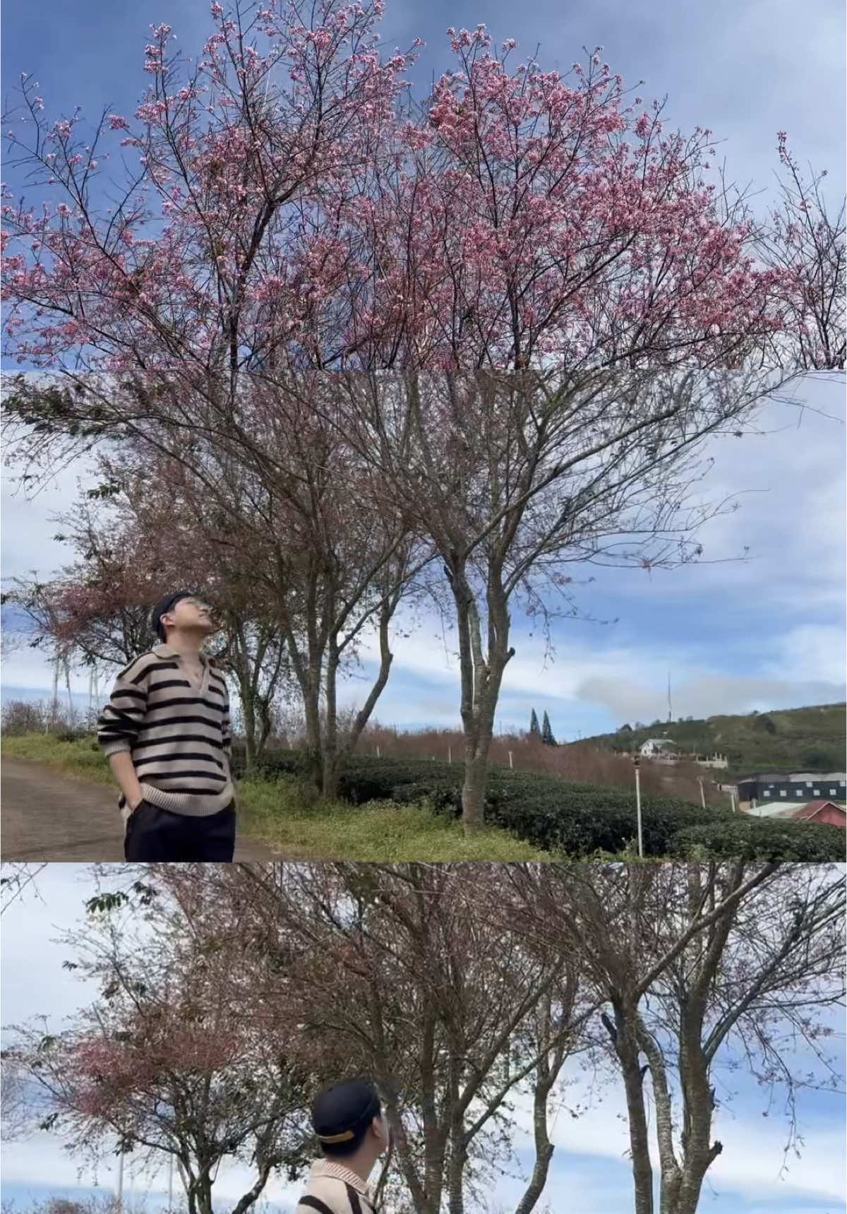 2025 trip film dumb 🧎🏻&zwj;♂️🤟🏻#travel #sapa #dalat #fyp 
