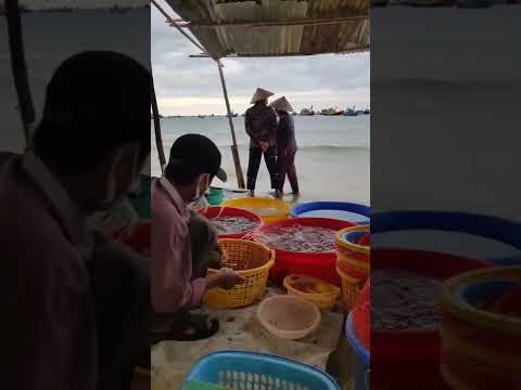 #Shorts Mui Ne Walking tour - Pandanus Resort