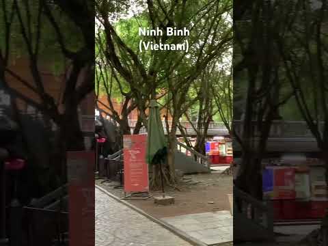Trang An Tour #27 in Ninh Binh (Vietnam) #shorts #vietnam #travel #ninhb&igrave;nh