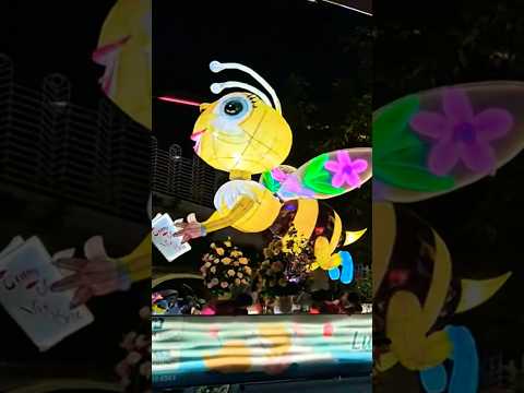 Vietnam festival - Trung thu Tuy&ecirc;n Quang #trungthutuyenquang​​​​​​ #festival​​​​​​ #shorts​​​​​​
