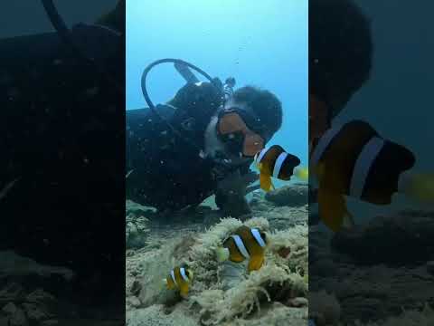 Nha Trang Scuba Diving