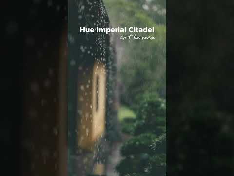 Hue Imperial Citadel in the rain #Shorts